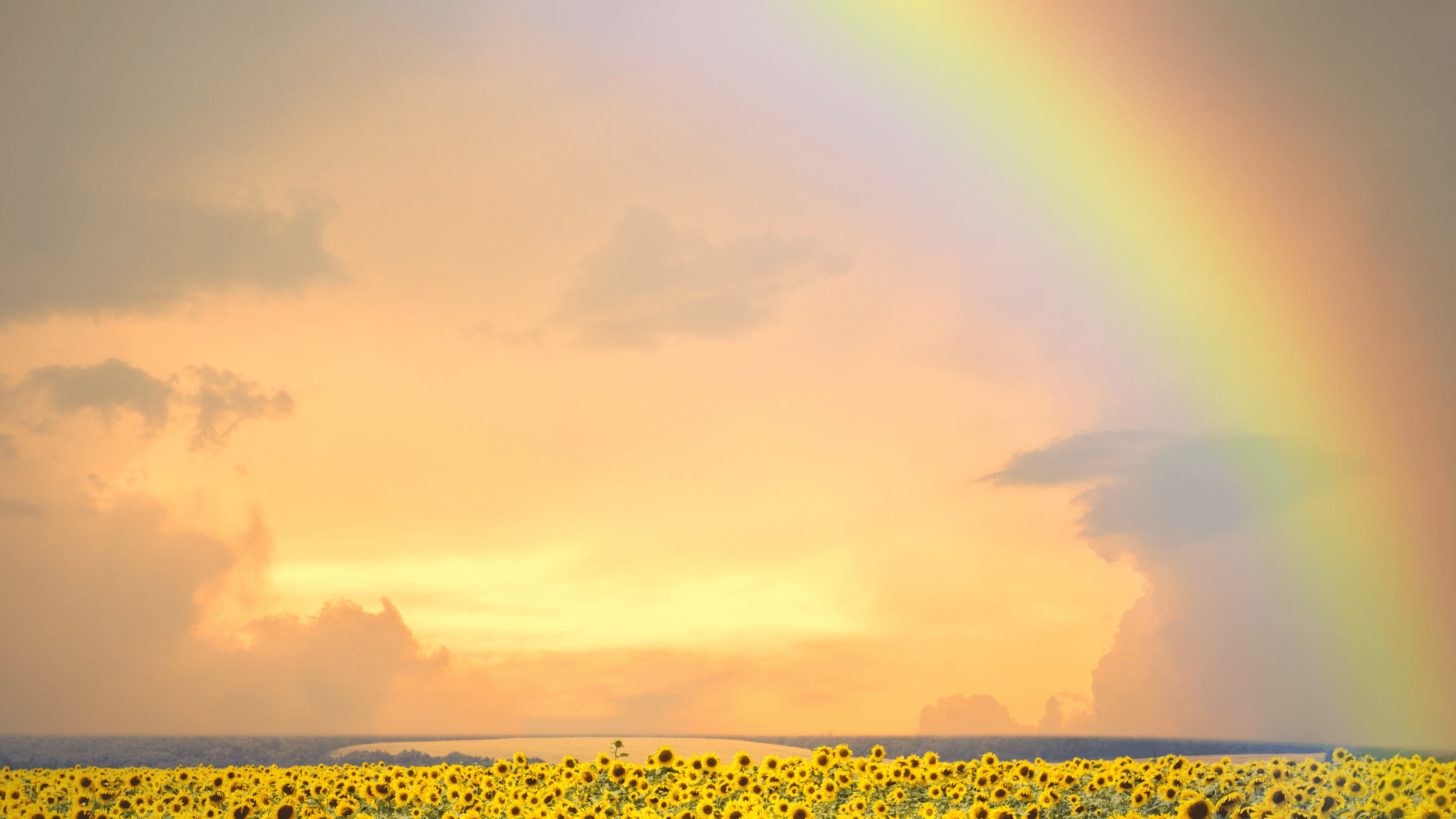 What is Non-Death-Related Grief? A Comprehensive Guide to Disenfranchised Loss