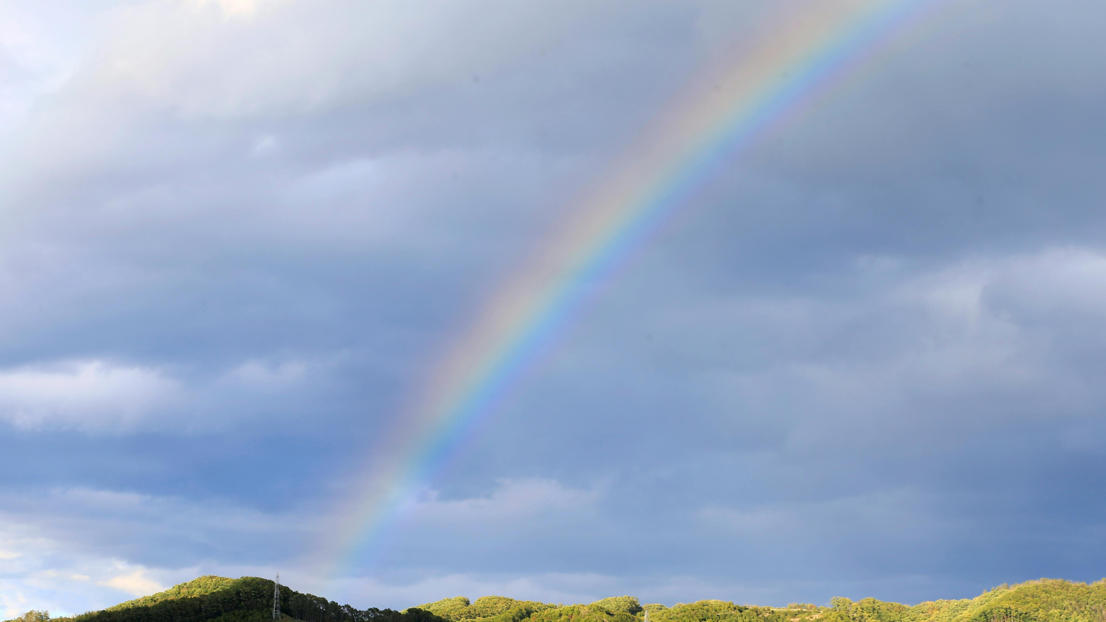 ADHD and LGBTQ+: Everything to Know About “Neuroqueers”