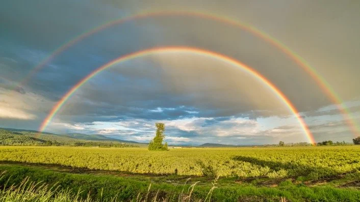 Discovering Non-Binary Identities &amp; Challenging Gender Norms