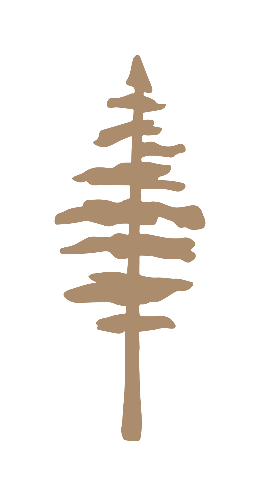 Silhouette of a pine tree with a beige color on a black background.