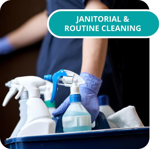 Janitorial and routine cleaning services for commercial facilities.