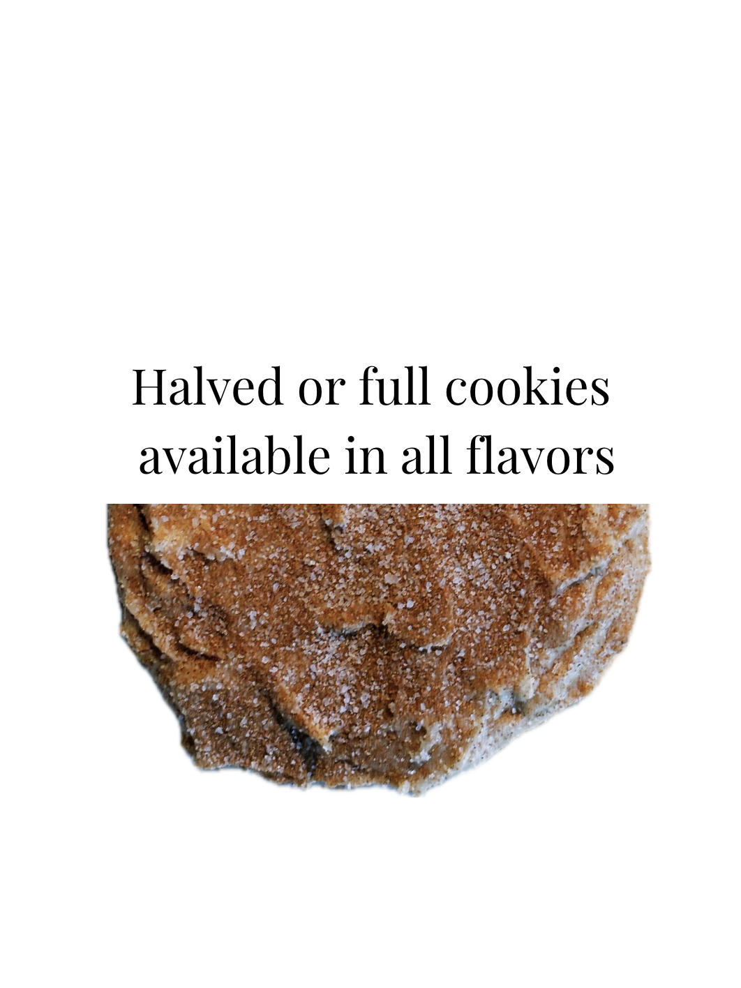 Screenshot 2026-02-19 at 4.07.40 PM.png