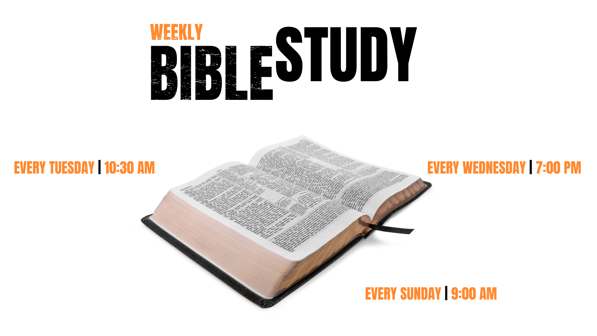 Prayer/Worship and Bible Study