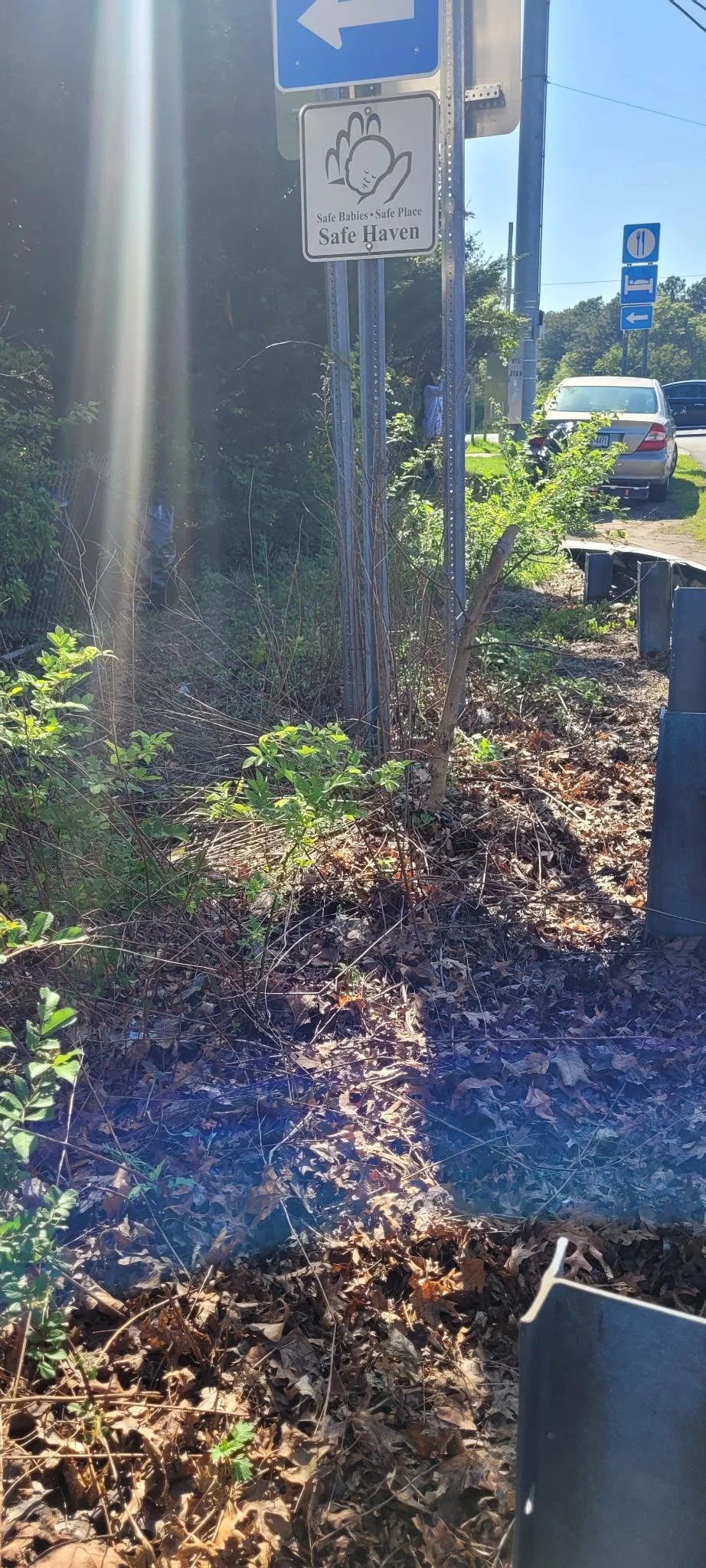 Sign indicating a safe haven for babies and a safe place for families, along a roadside with cars parked nearby, some greenery, and a blue sky.