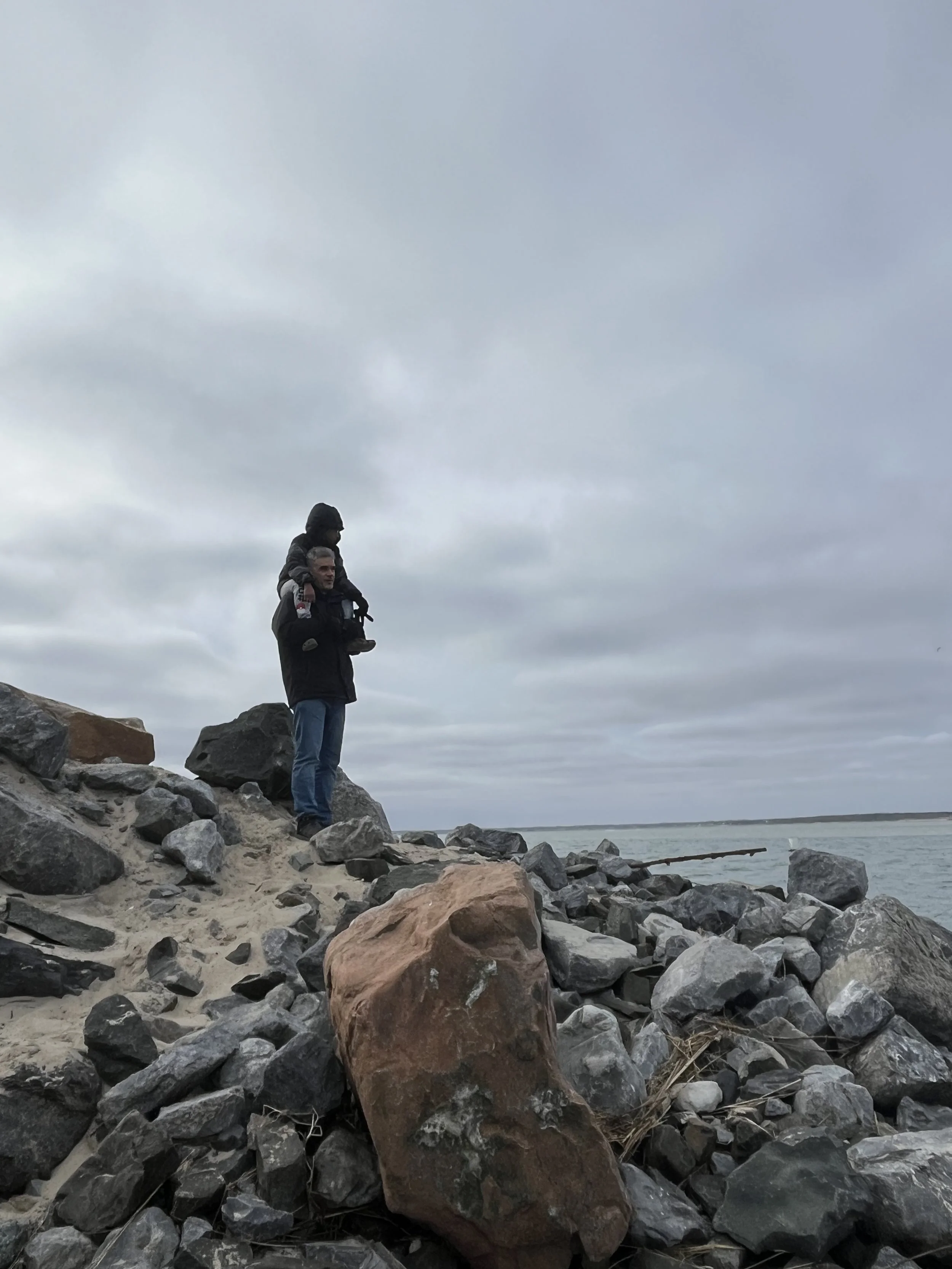 A man standing on a rocky shore with a child on his shoulders, overlooking the water on a cloudy day.