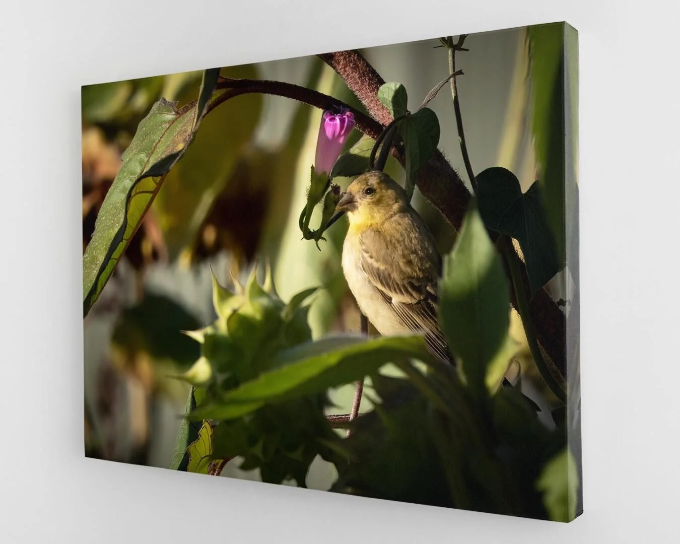 A small bird perched among green leaves and a pink flower on a branch.