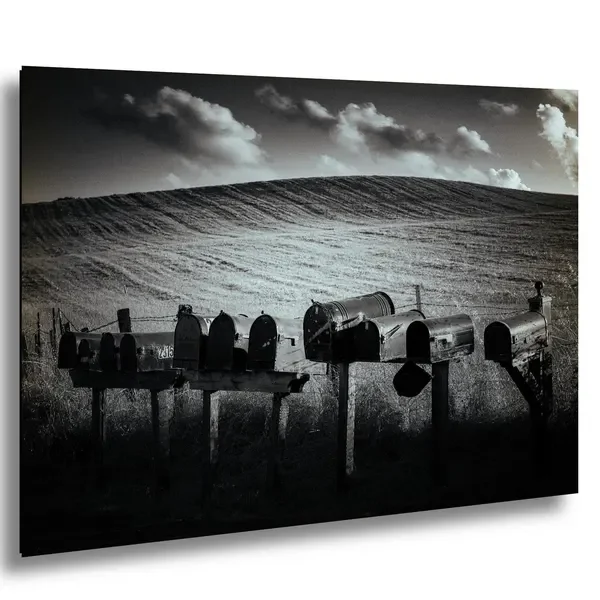 “They Won’t Say”