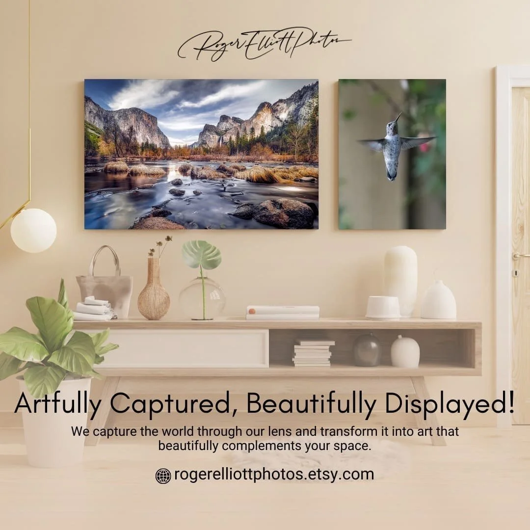 Boost your space with art that inspires