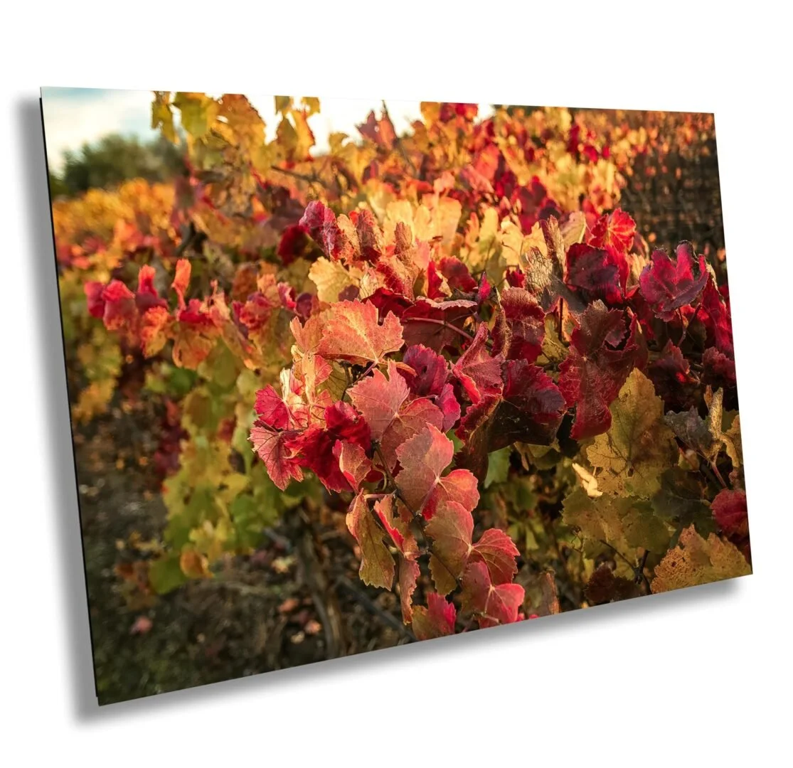 Immerse yourself in the beauty of nature