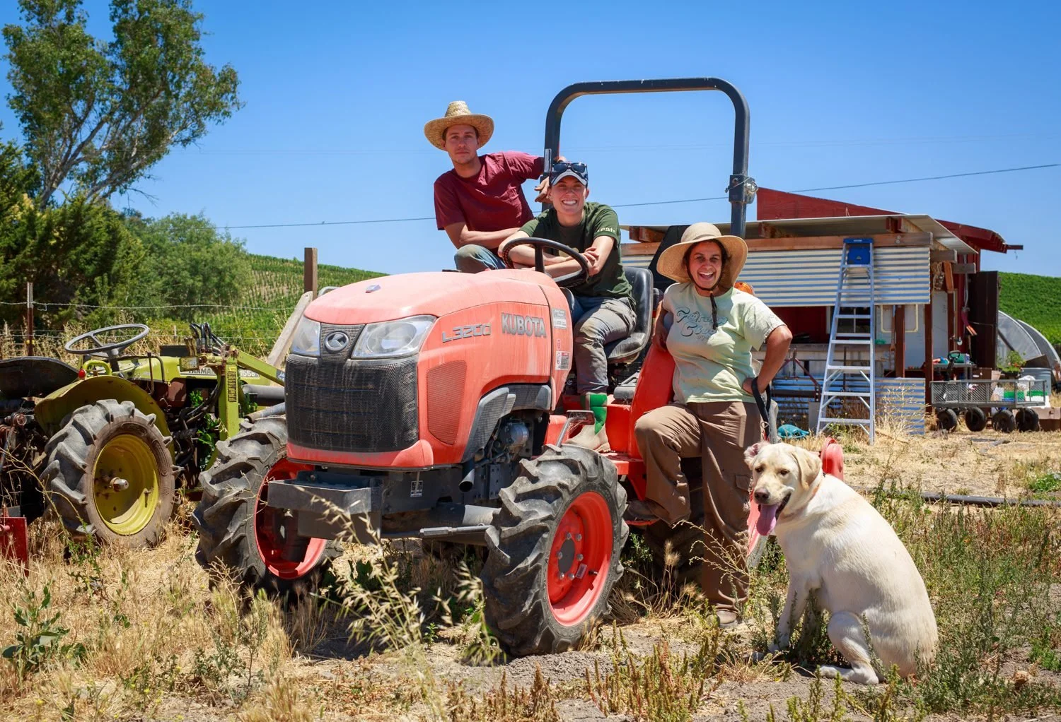 Group of four people and a dog in a rural farm setting. Three women sit on a red tractor, smiling, with one man standing behind them. They are wearing casual farm clothes and wide-brimmed hats. There is a white dog sitting on the ground in front of them. In the background, there is farm equipment, a small building, a ladder, and green hills under a clear blue sky.