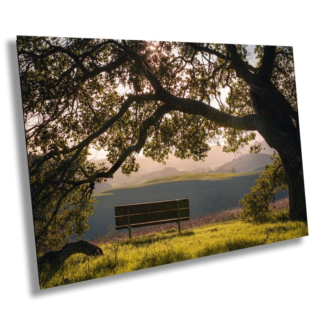 A scenic landscape with a large tree in the foreground, a wooden bench facing away, rolling hills in the distance, and the sun shining through the branches.