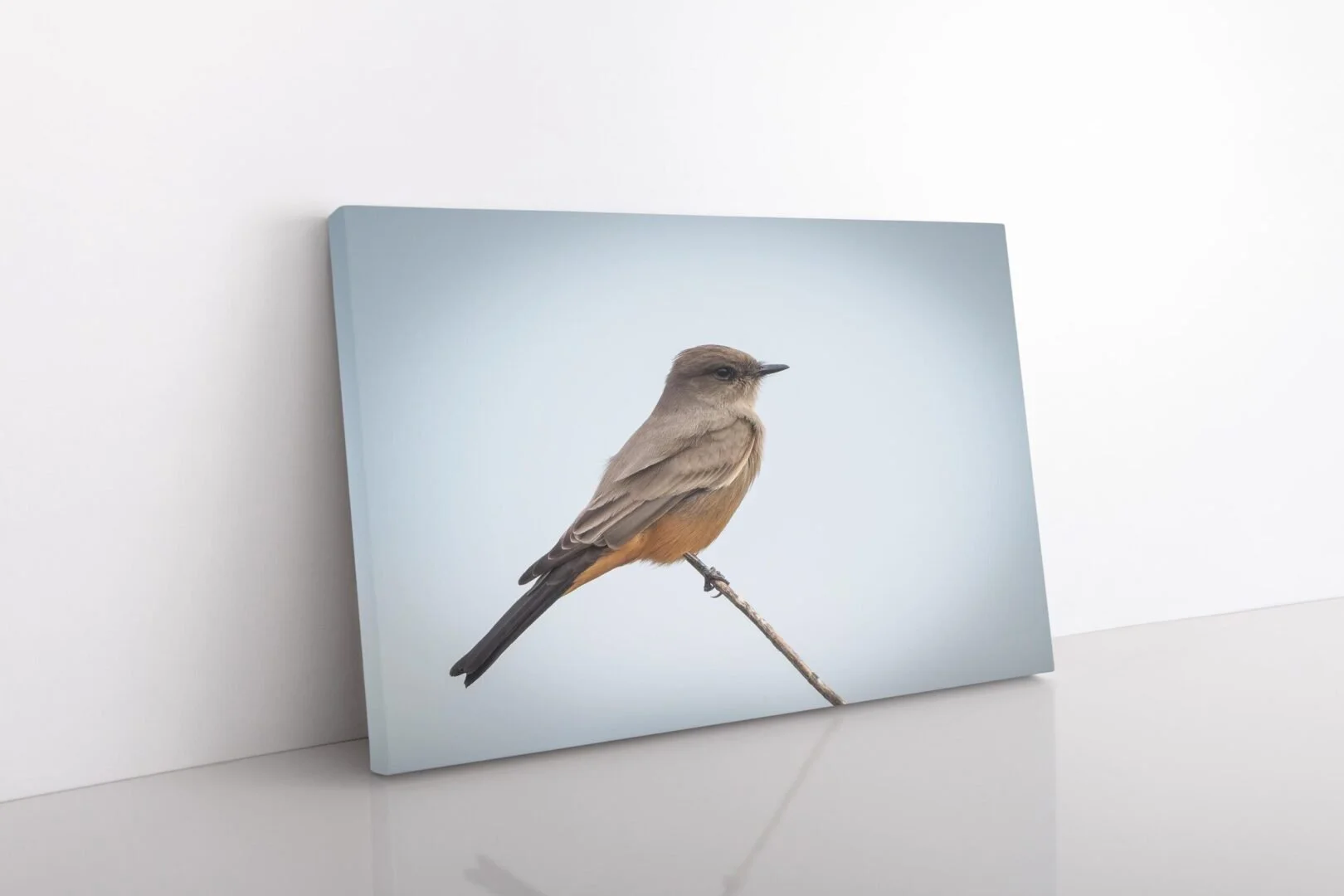 Canvas print of a brown and gray bird perched on a thin branch, against a blurry blue and white background.