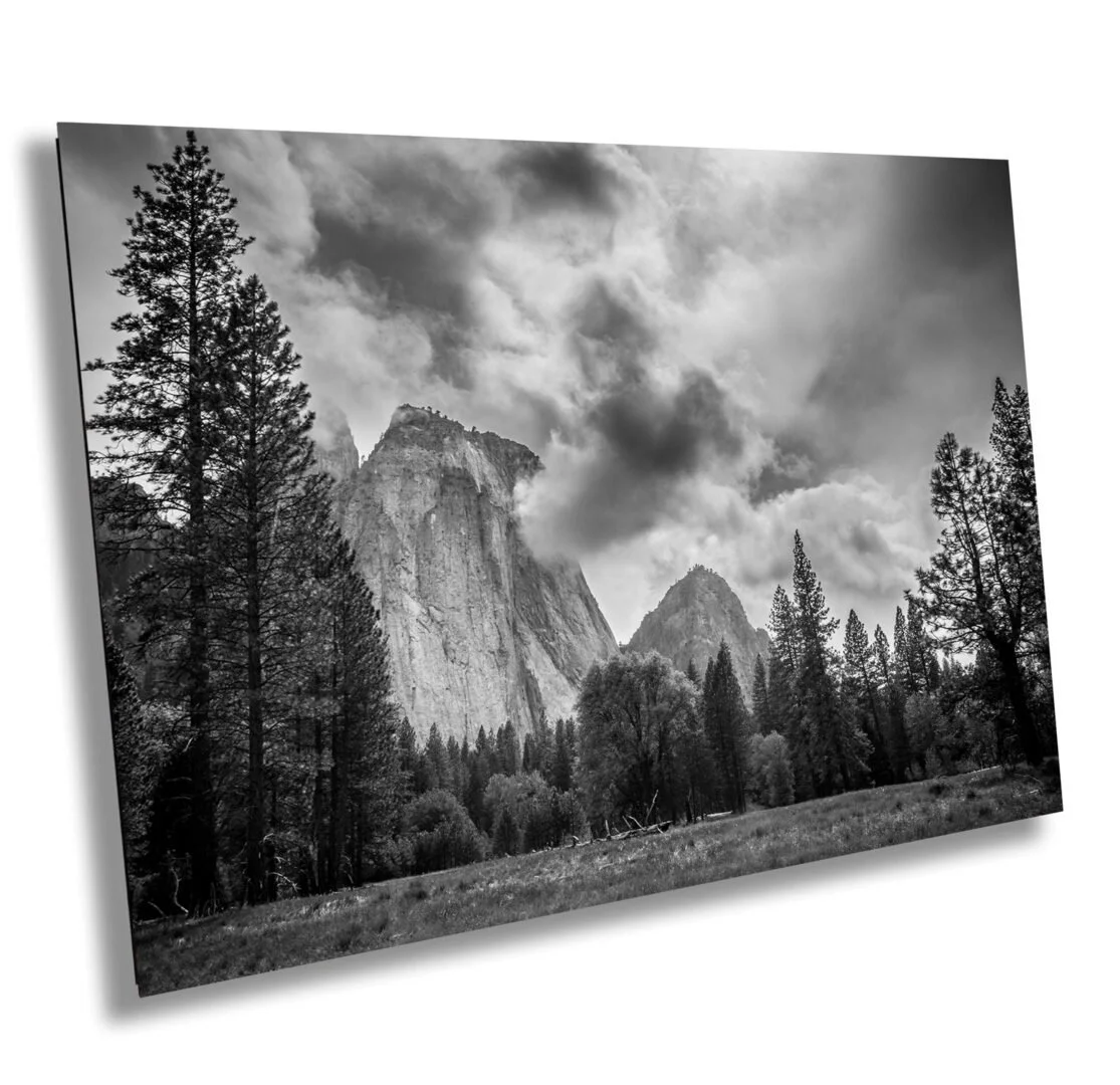 Black and white photograph of a mountain landscape with tall trees in the foreground and dramatic clouds overhead.