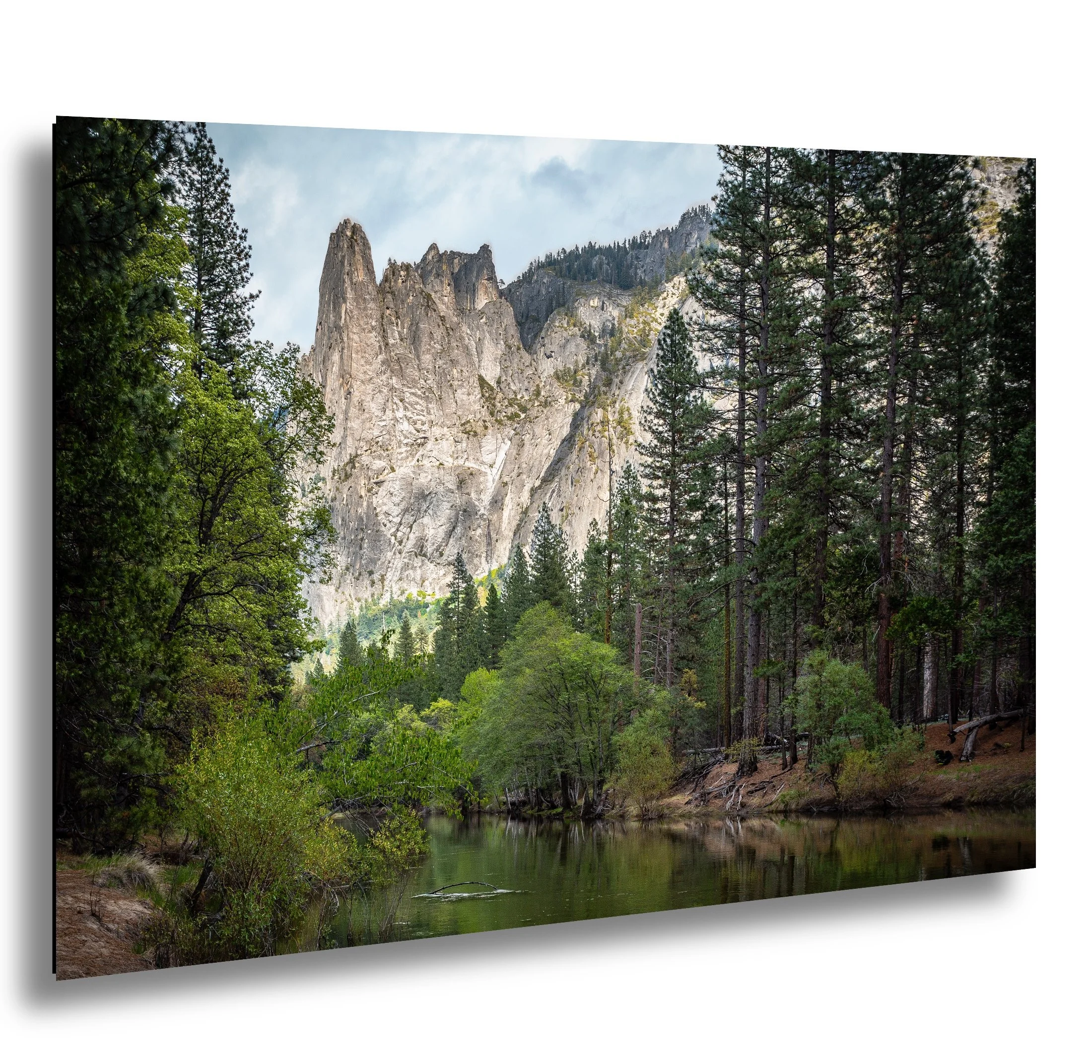 Scenic landscape of a forested area with tall pine trees, a river, and rocky mountains in the background under a cloudy sky.