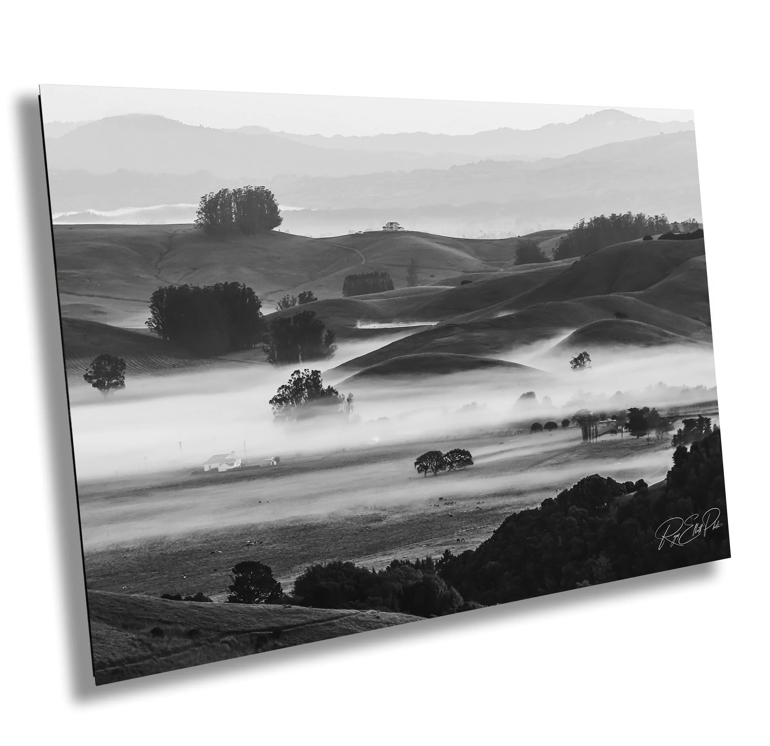 Black and white landscape photograph of rolling hills with scattered trees and a layer of fog or mist.