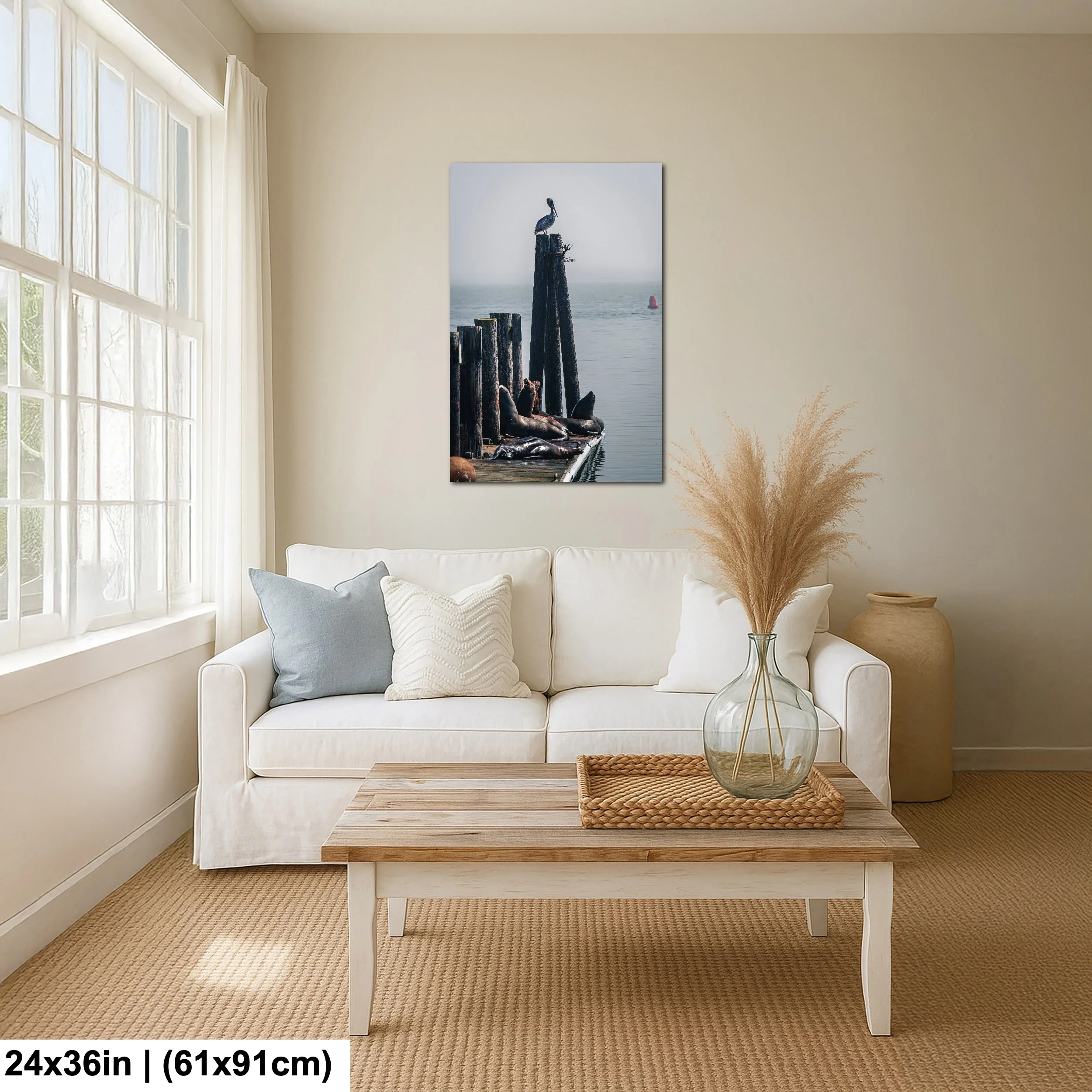 26 Seals Pelican - 24x36 Room.jpg
