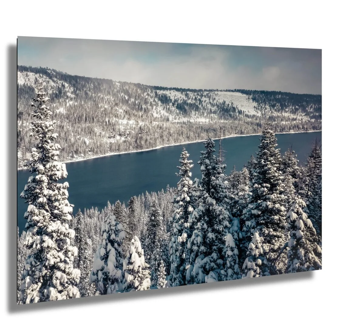 Snow-covered pine trees by a lake with a mountain background during winter
