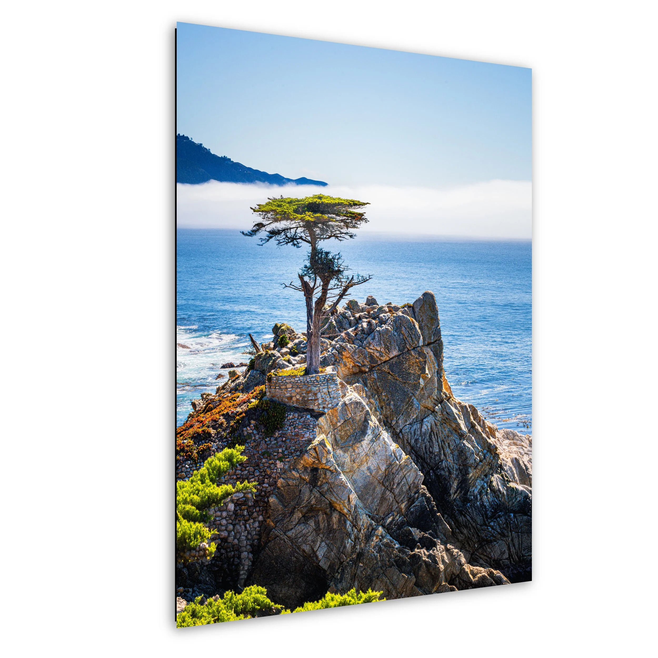 A lone tree growing on a rocky cliff overlooking the ocean with fog and mountains in the background.