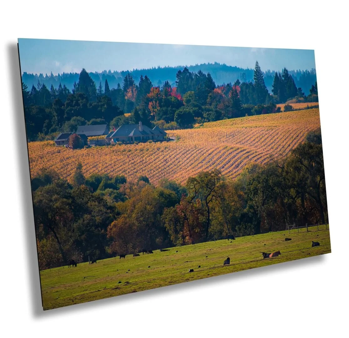 A landscape scene of rolling hills with vineyards, a house, and cows grazing in the foreground, with a backdrop of forested hills and mountains.