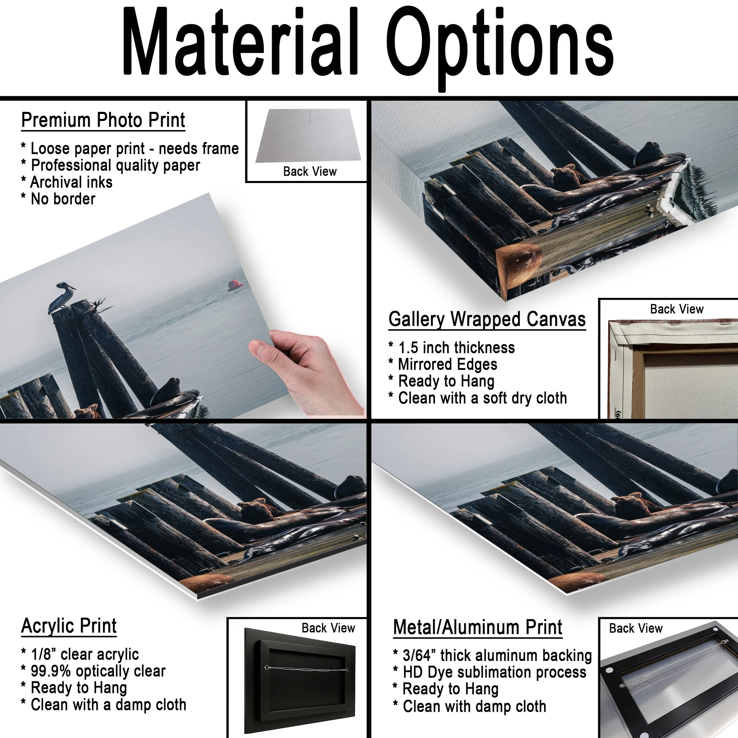 26 Seals Pelican - Materials.jpg