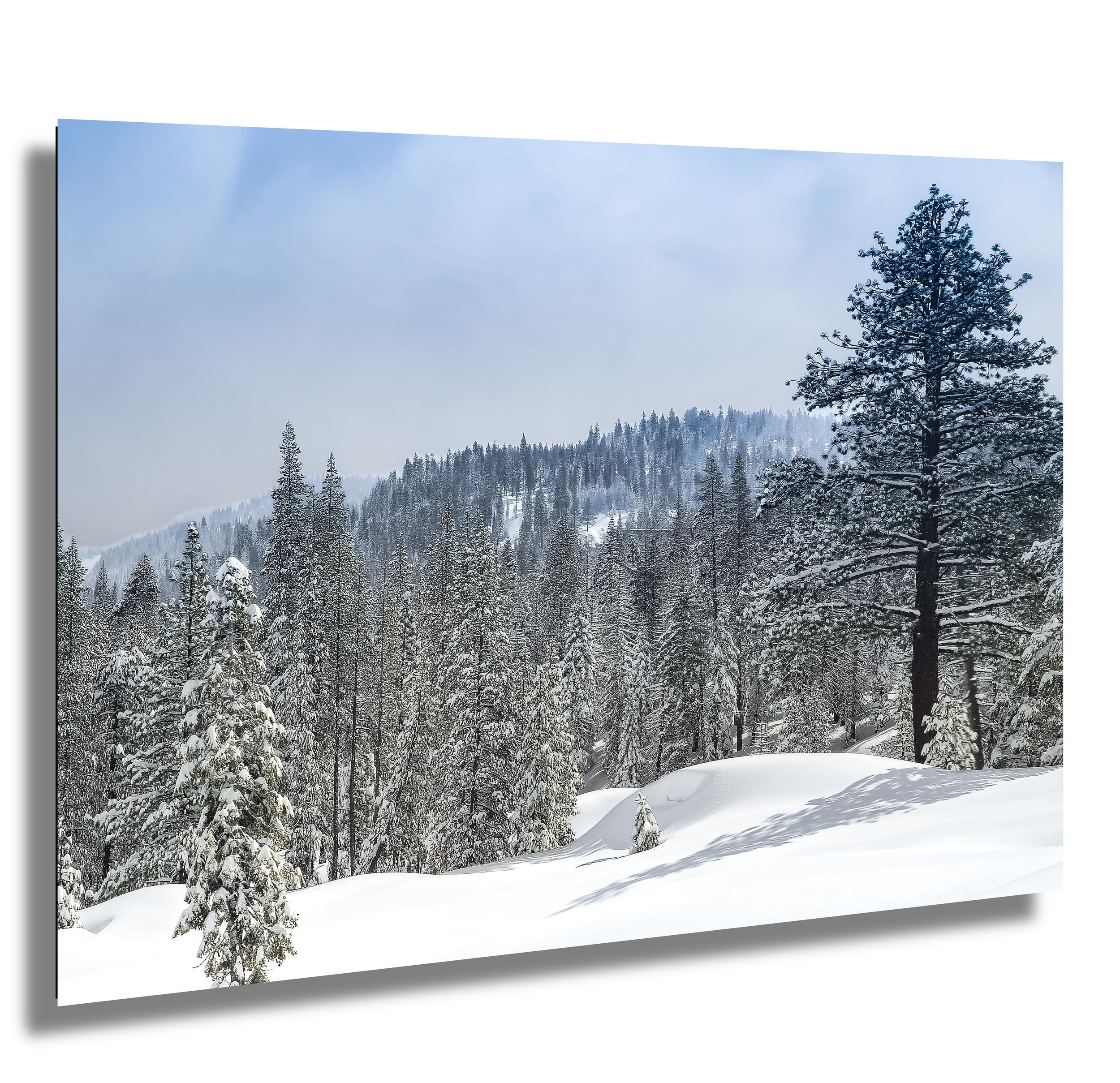 Snow-covered forested mountain landscape in winter with tall pine trees and a cloudy sky.