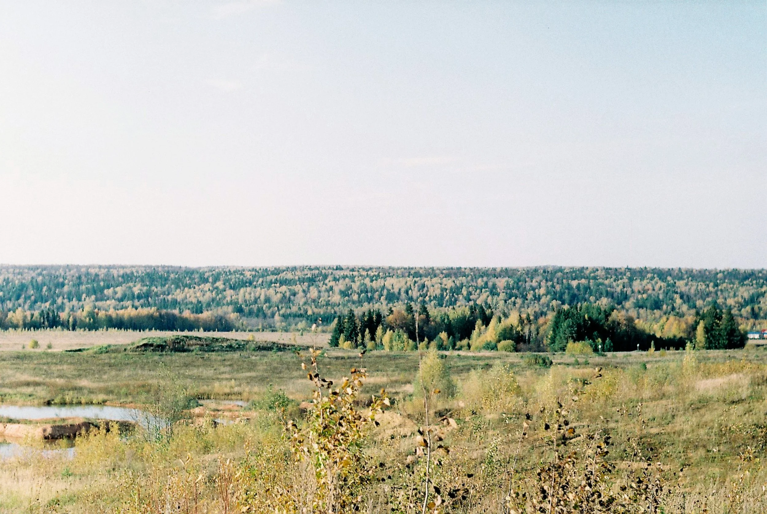 A wide landscape view of a park or natural area with green trees, open grassy fields, a small pond, and distant forested hills under a pale sky.