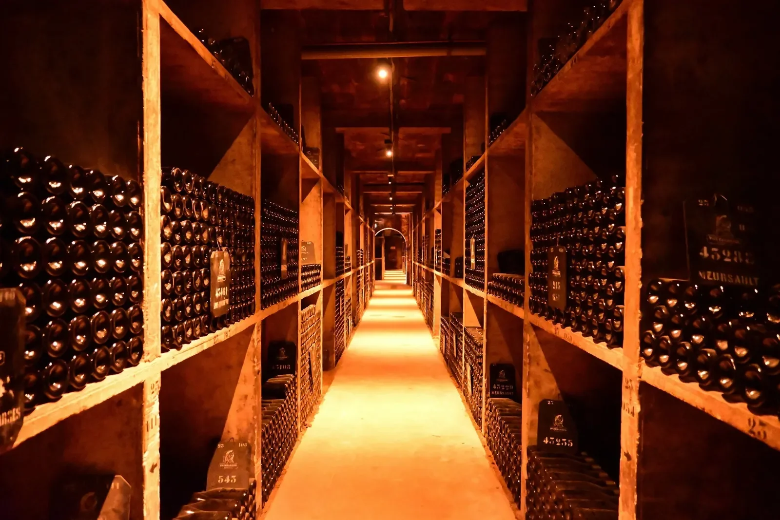 Pasillo en una bodega de vino con estanterías llenas de botellas oscuras y etiquetas que indican diferentes mezclas o añadas.