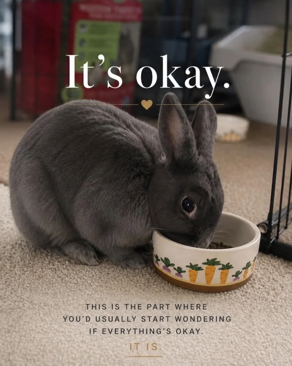 It is OK.jpg