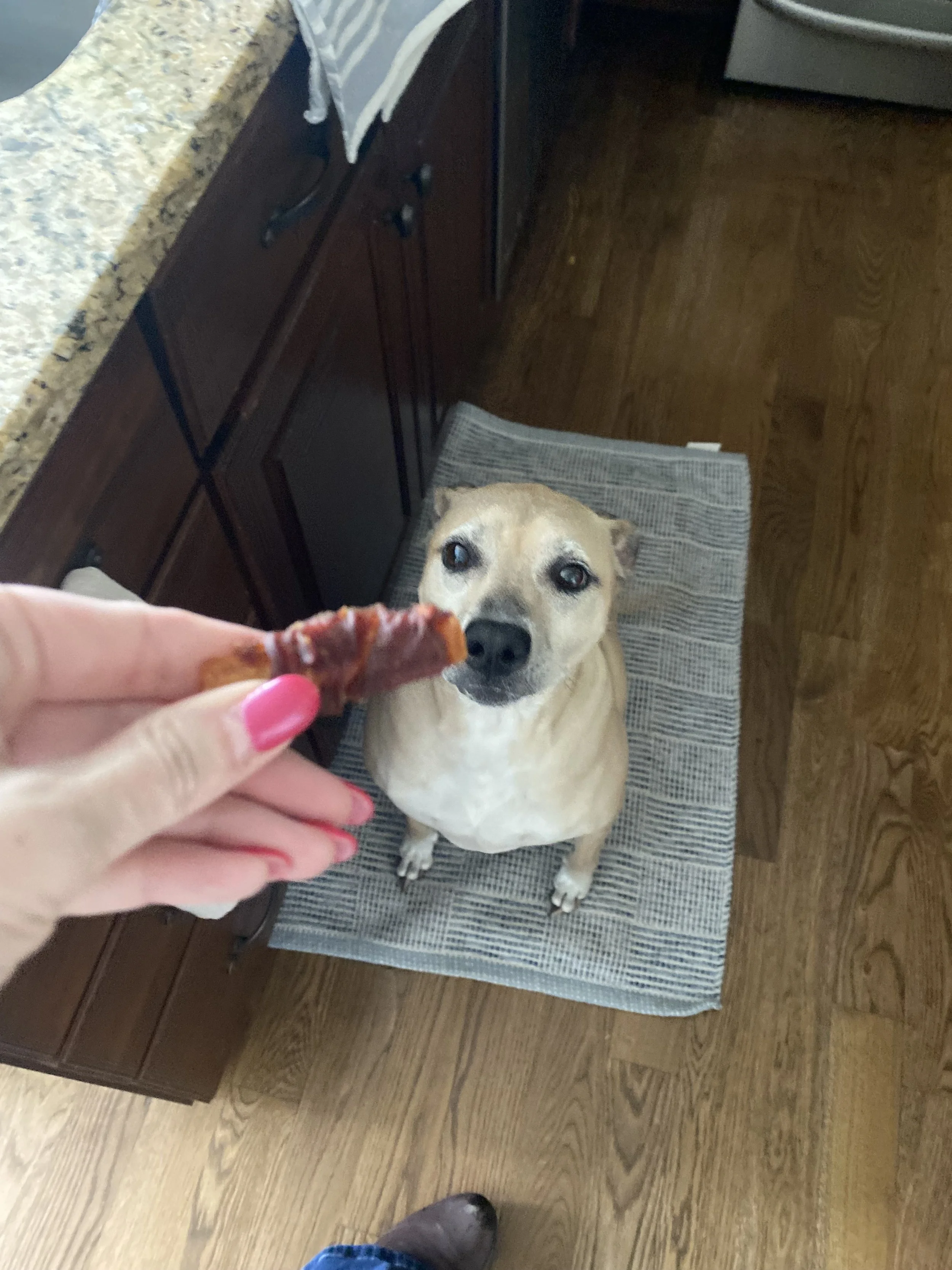 IMG_8382.jpeg