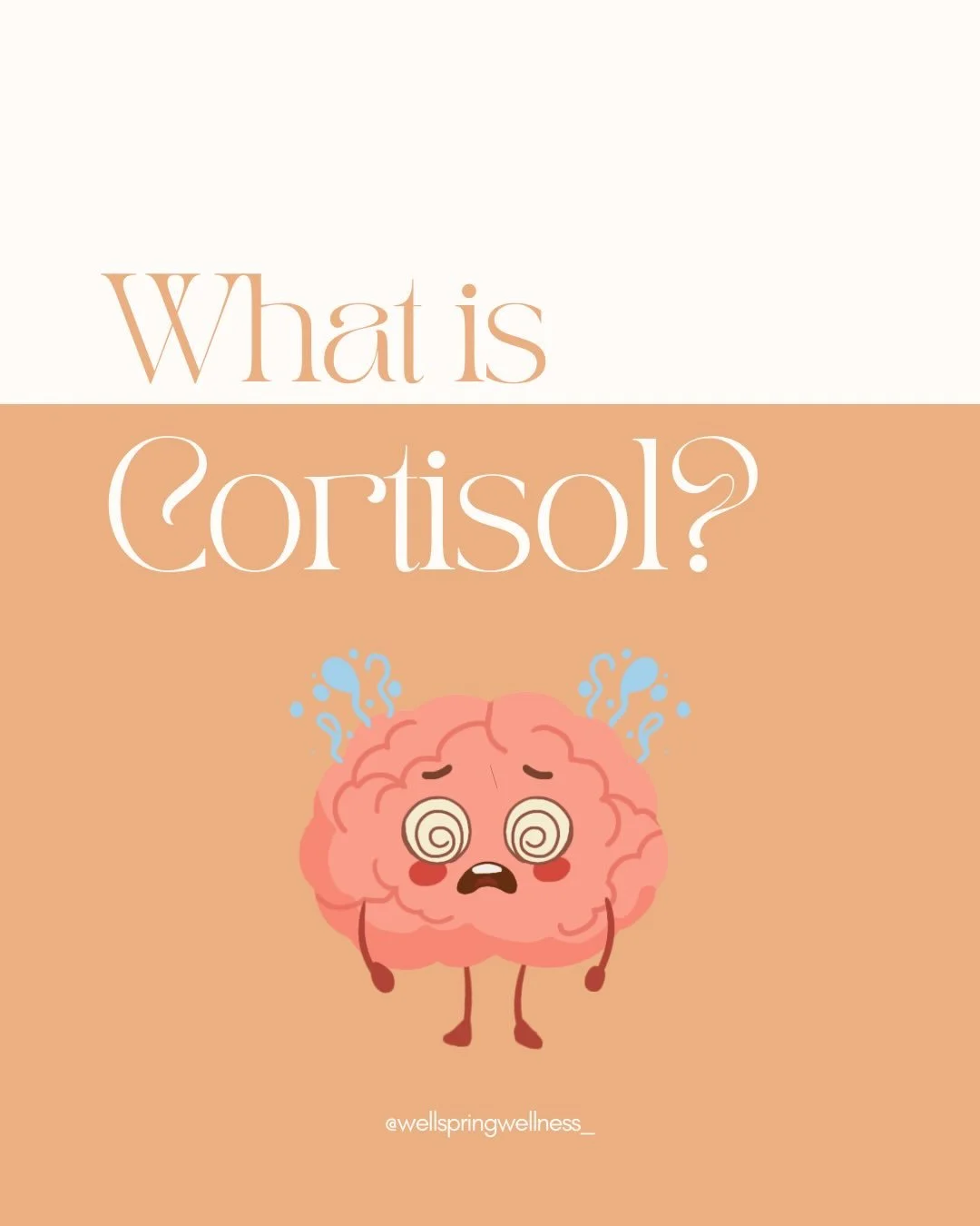 Cortisol often gets labeled the &ldquo;stress hormone,&rdquo; but it&rsquo;s so much more than that. It&rsquo;s a steroid hormone essential for energy, metabolism, blood sugar balance, and immune function.

Here&rsquo;s how it works:

📈 Your Daily R