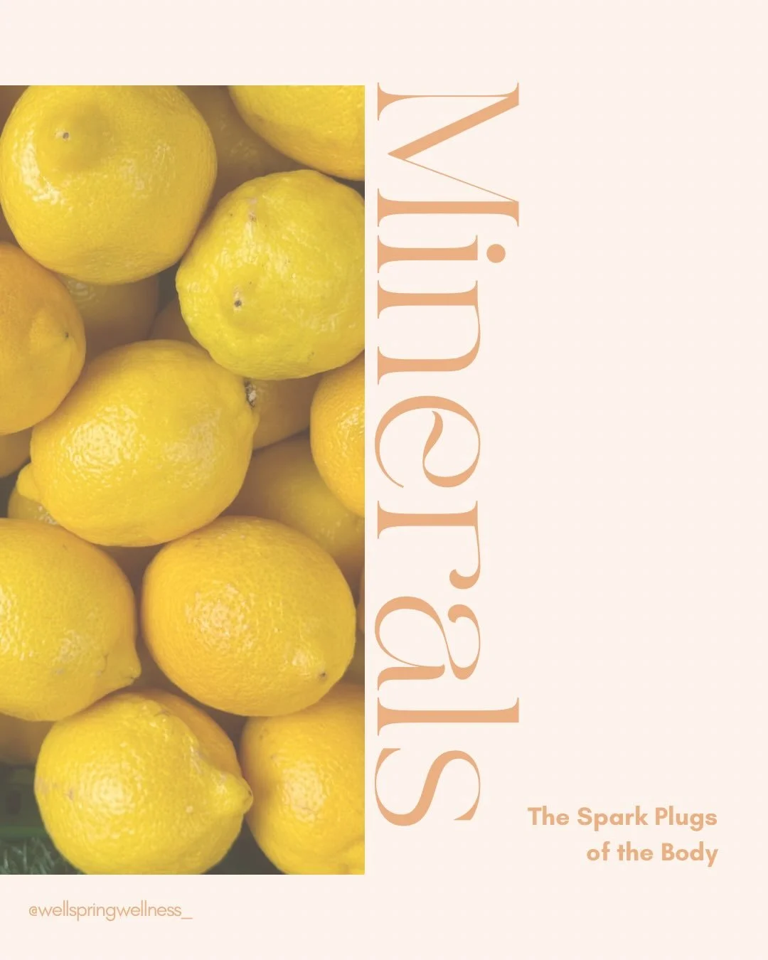 From a holistic nutrition perspective, minerals don&rsquo;t just support health &mdash; they run nearly every process in the body.

✨ Energy production
✨ Nervous system regulation
✨ Hormone balance
✨ Digestion &amp; stomach acid
✨ Detox pathways
✨ Bl