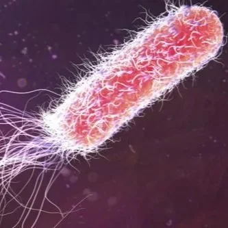 The Designer Cure: How Synthetic Biology is Solving the Superbug Crisis