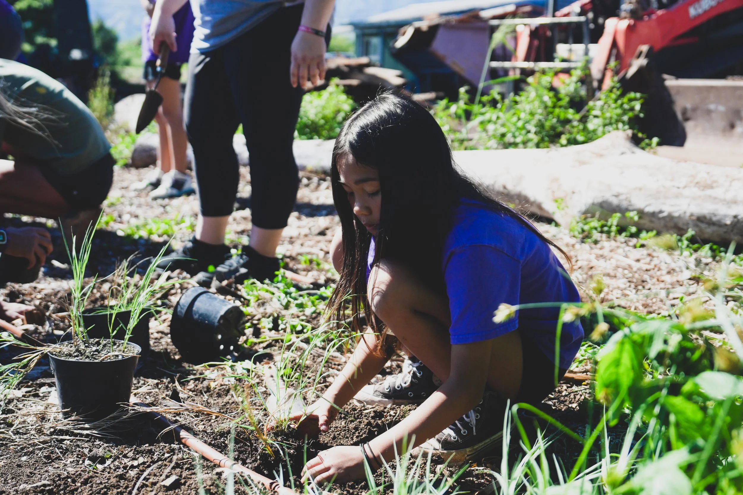 Kokua Foundation-5.jpg
