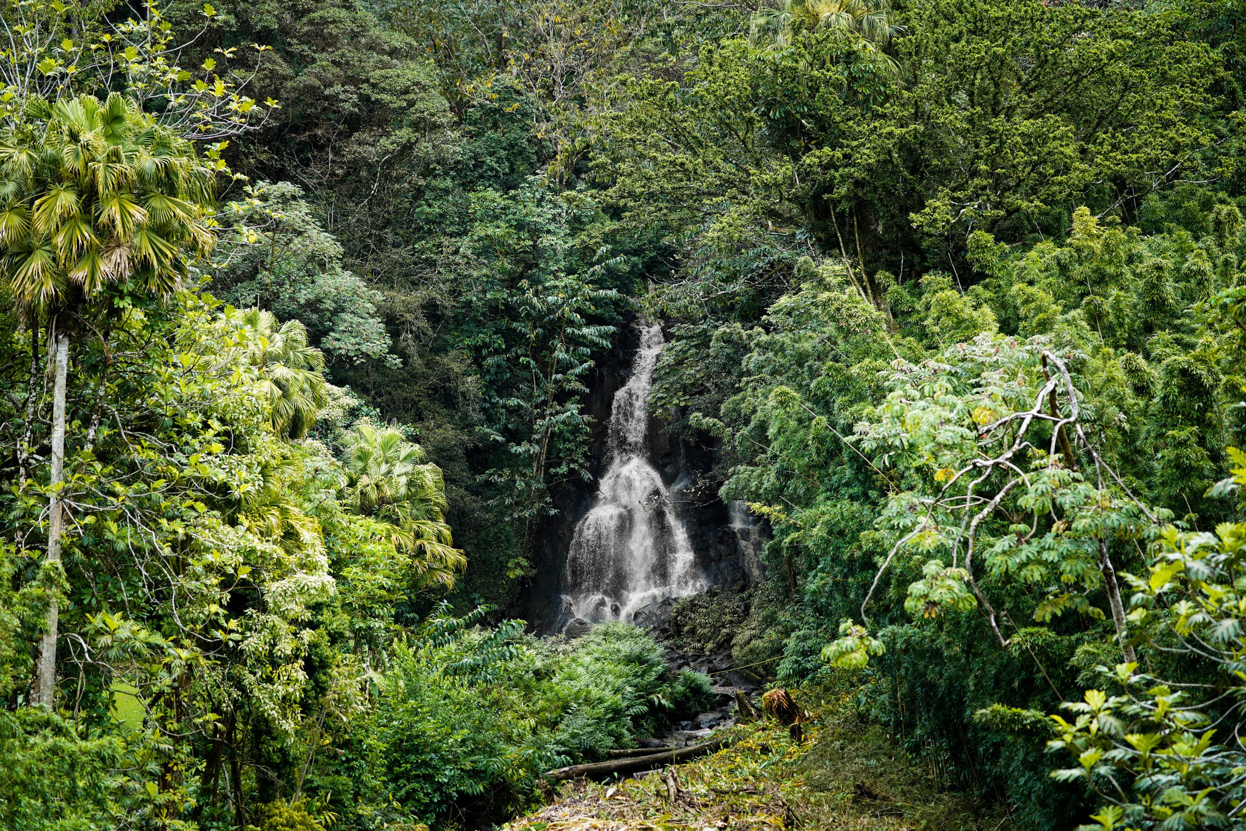 Nuuanu Waterfall Square Lo res.jpg
