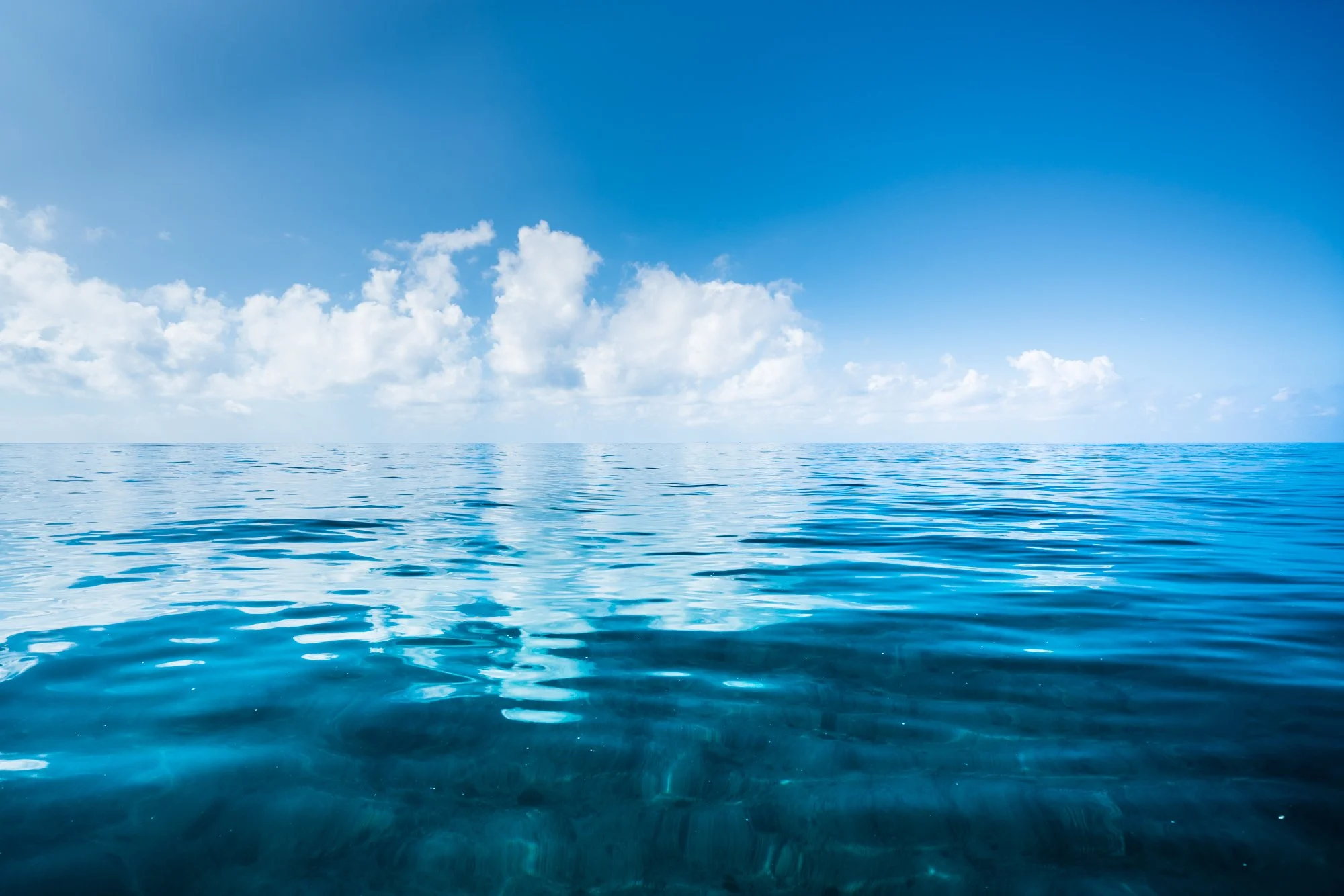Ocean Glass Wide Lo.jpg