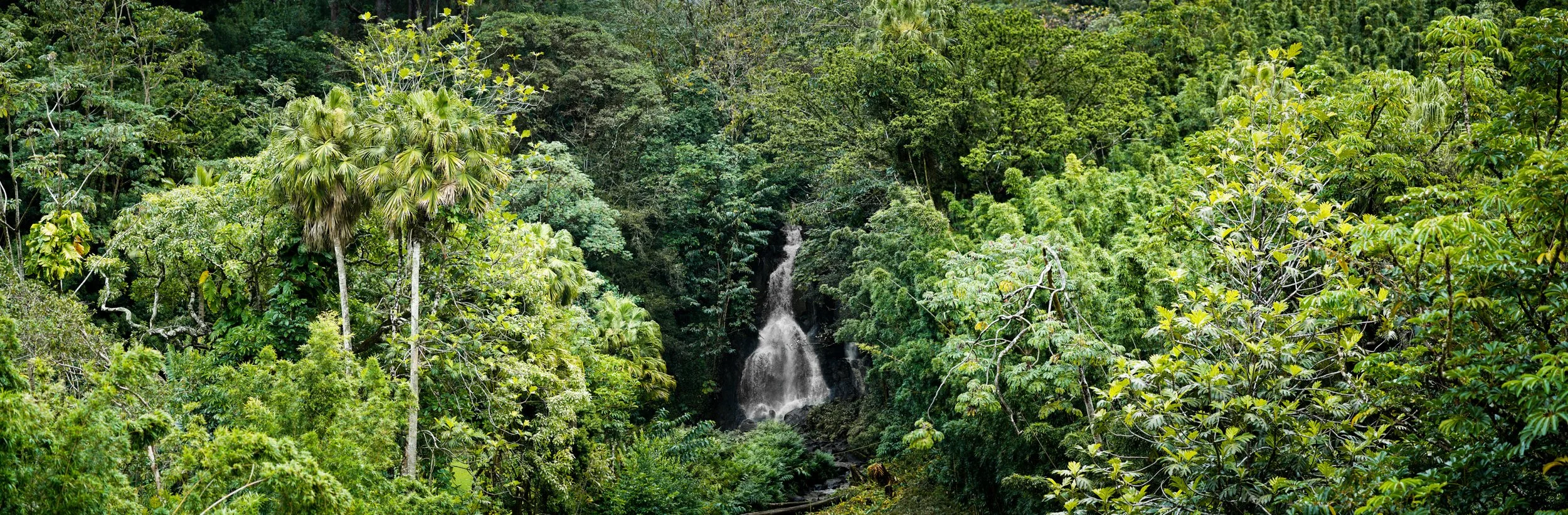 Nuuanu Waterfall V2 Lo res.jpg