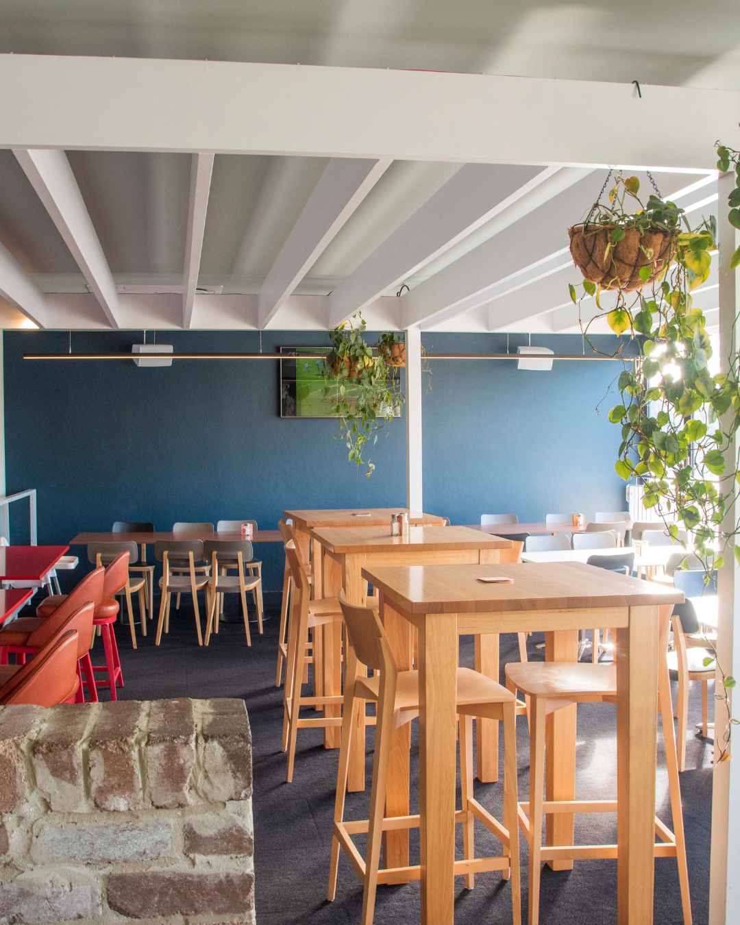 Bright, modern cafe interior with high tables, chairs, and hanging plants.