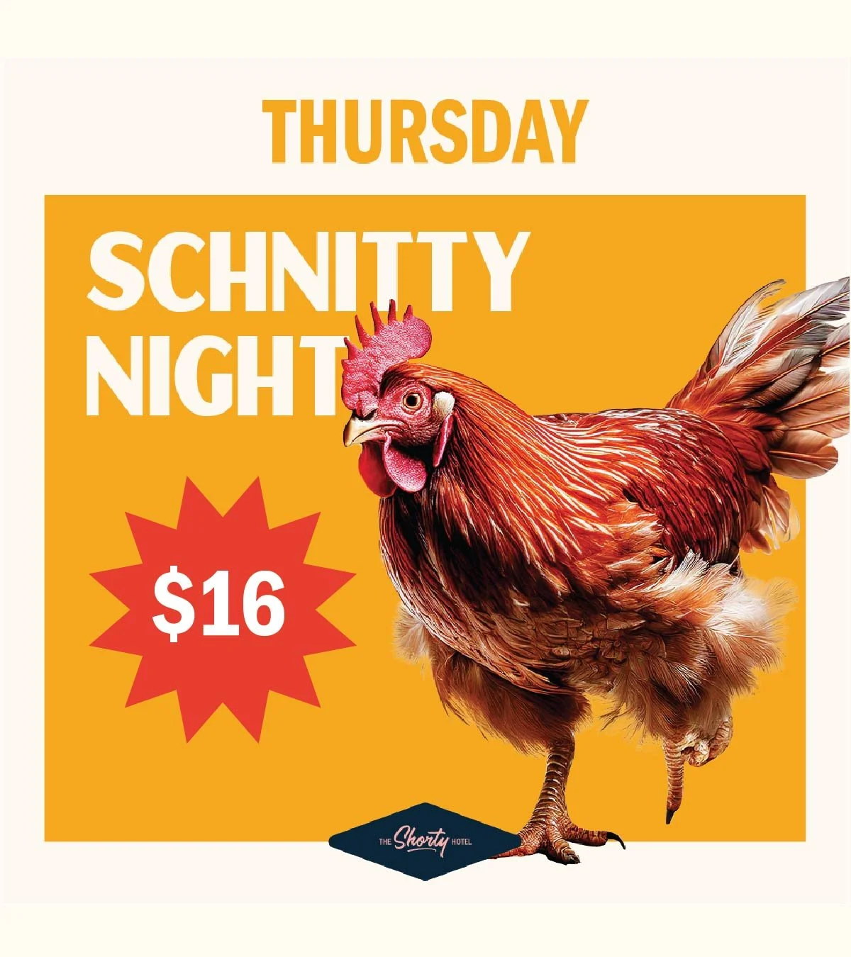 Thurs_Schnitty  Night_Post.jpg
