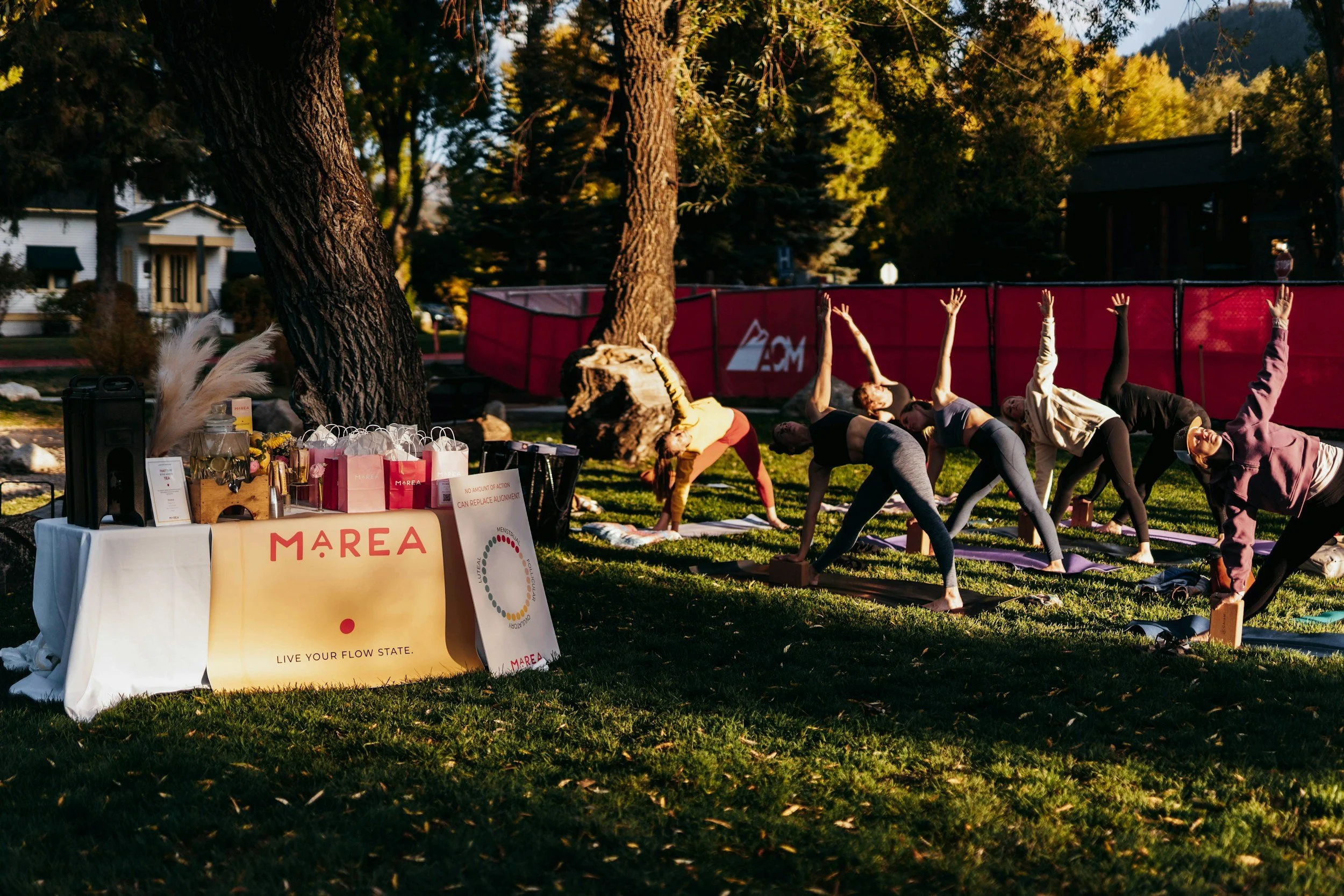 People practicing yoga outdoors in a park with a table of promotional items and a large tree nearby during the daytime.