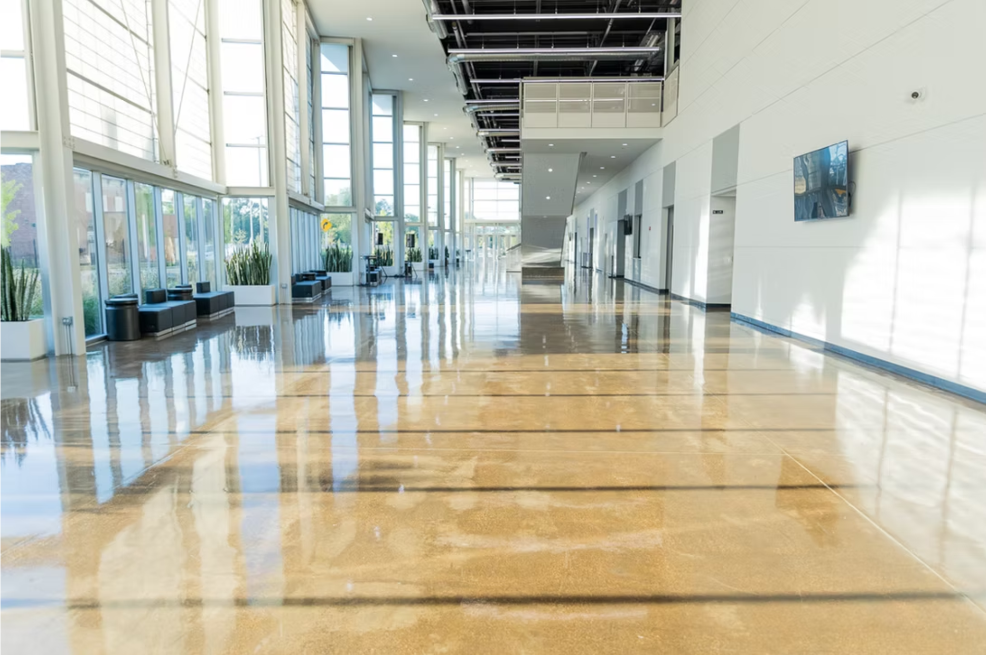 Screenshot 2026-01-26 at 12.23.40 AM.png