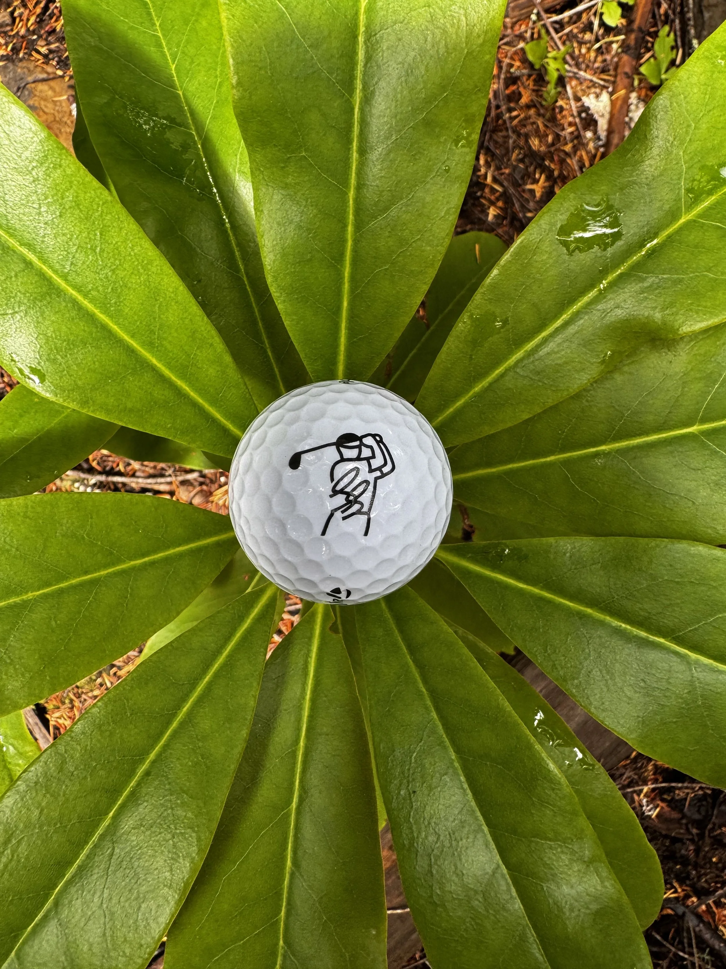 andrew-pellham-swimslacks