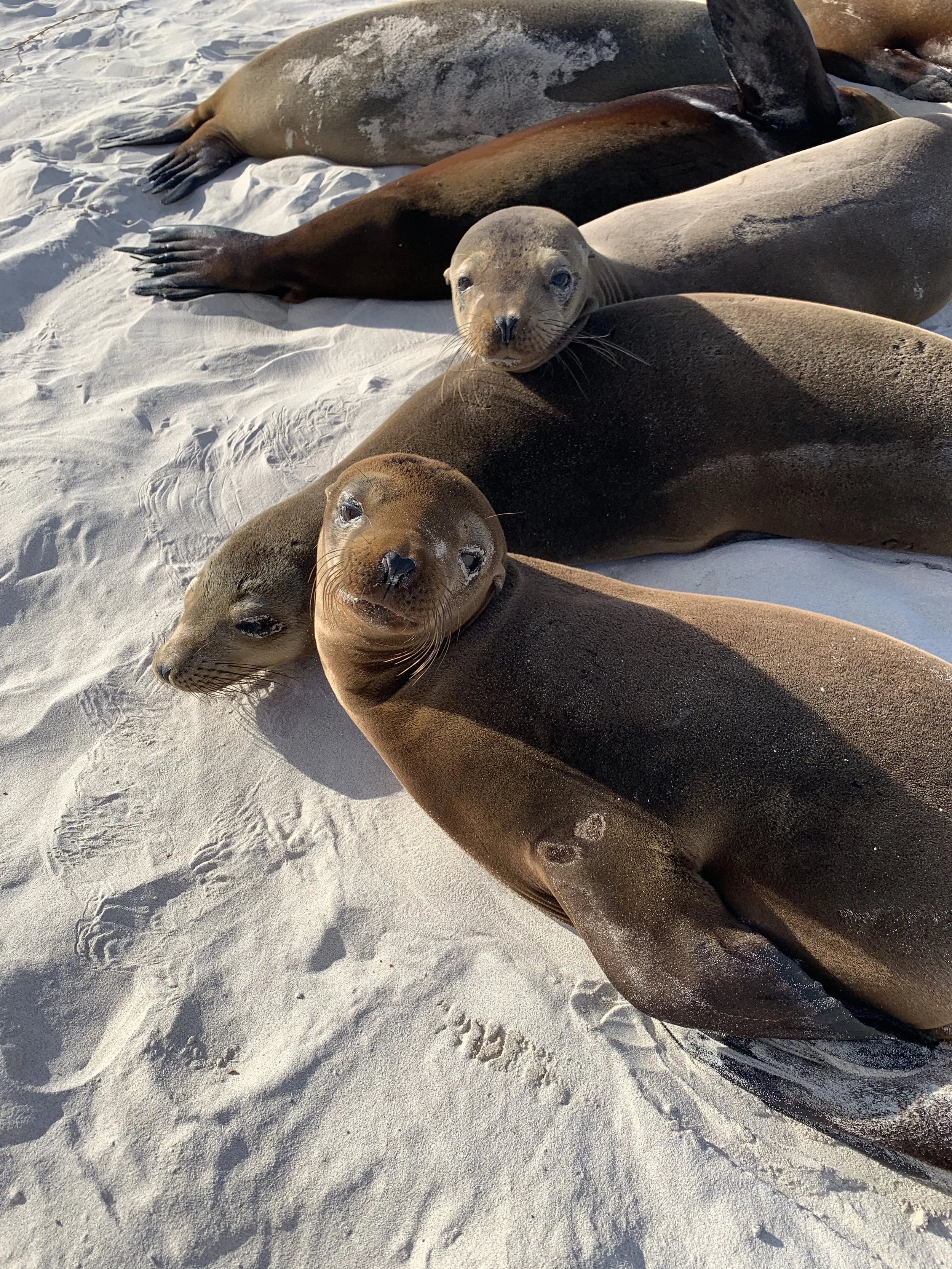 Andrew Pellham photography, part of Andrew Pellham’s travel photography collection