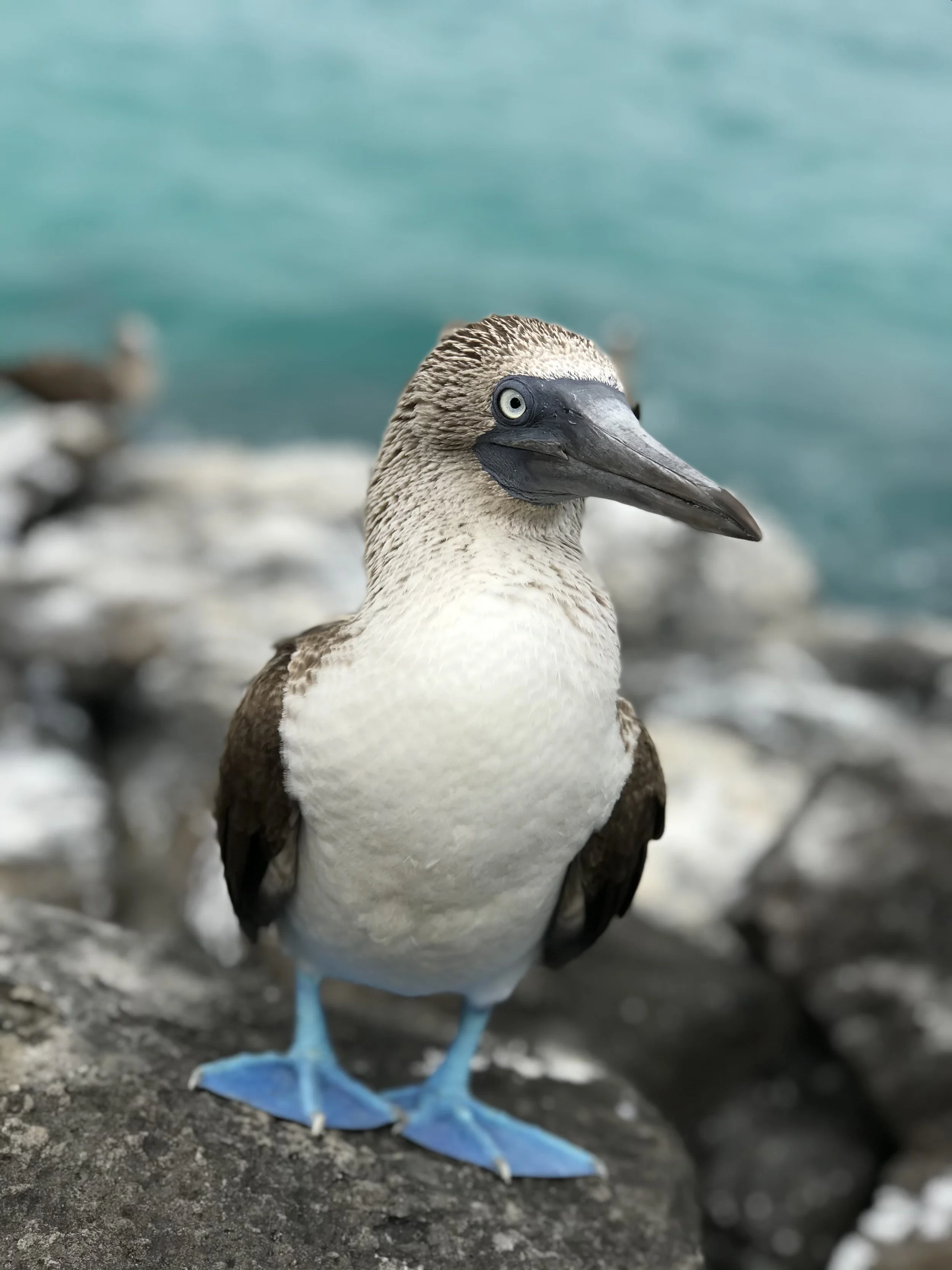 Andrew Pellham photography, part of Andrew Pellham’s travel photography collection