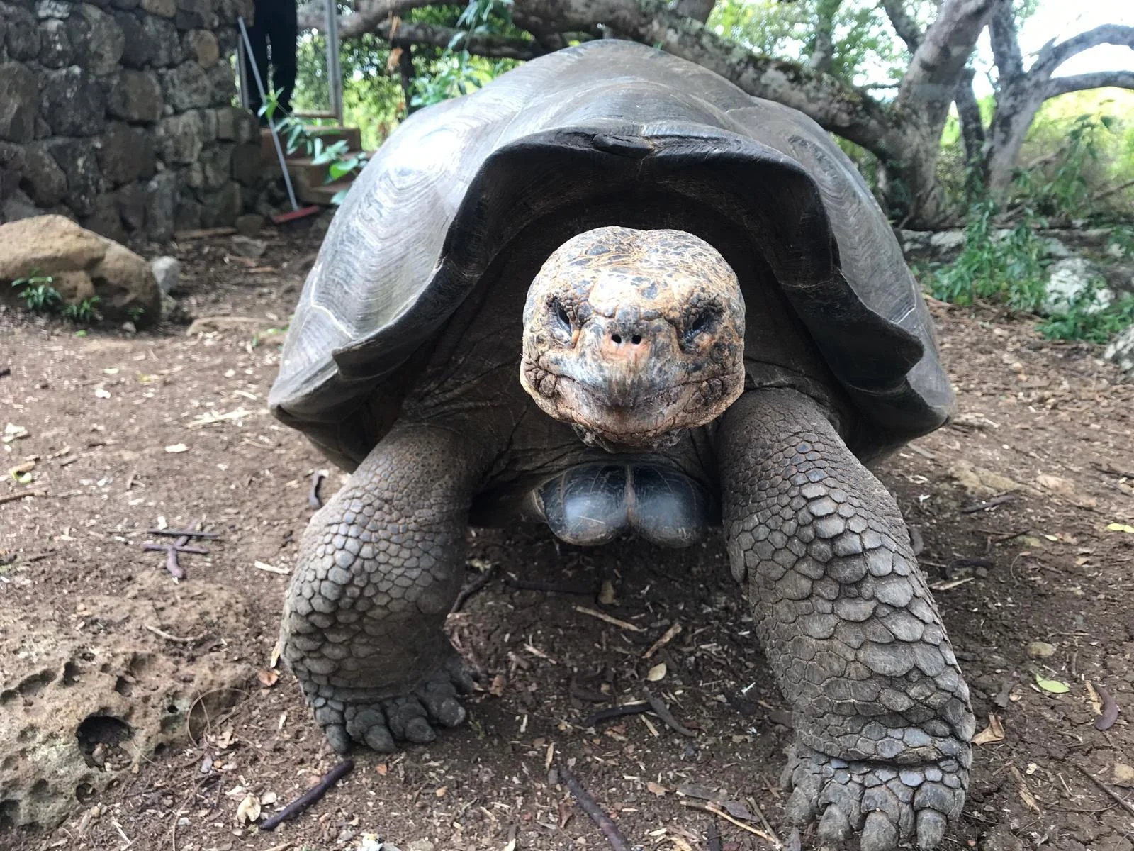 Andrew Pellham photography, part of Andrew Pellham’s travel photography collection