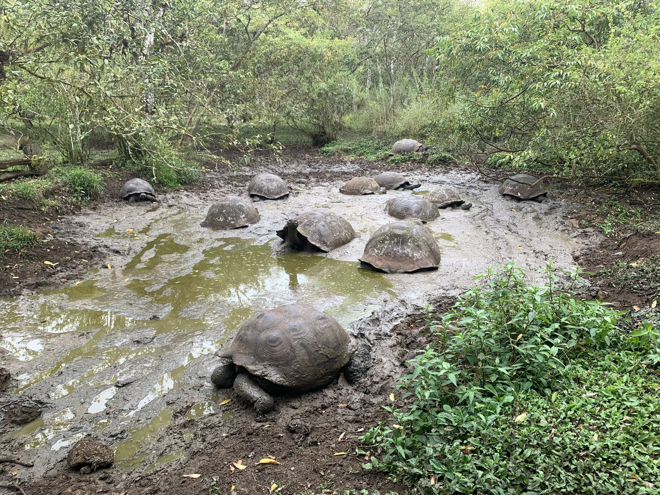 Andrew Pellham photography, part of Andrew Pellham’s travel photography collection