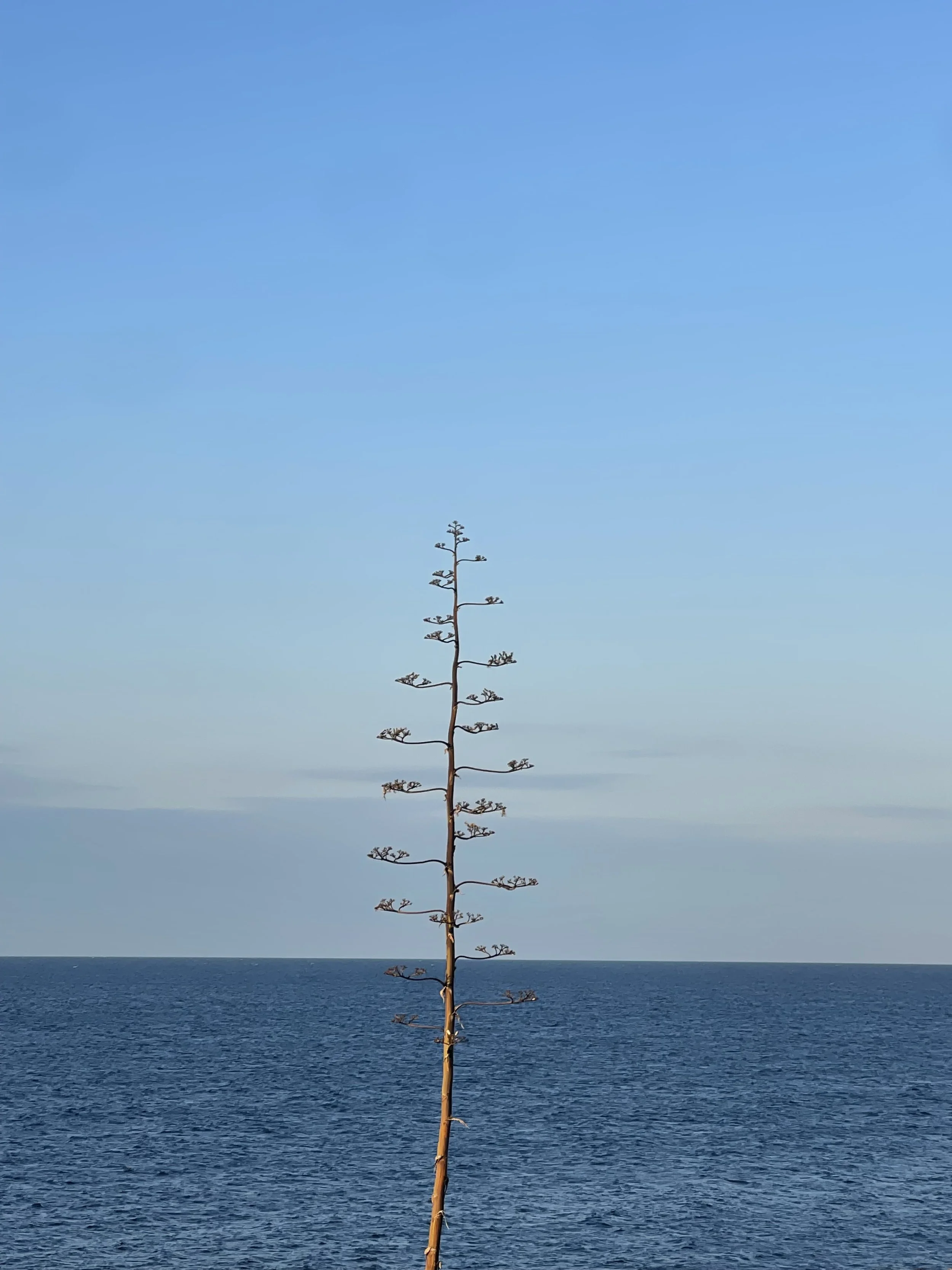 Andrew Pellham photography, part of Andrew Pellham’s travel photography collection