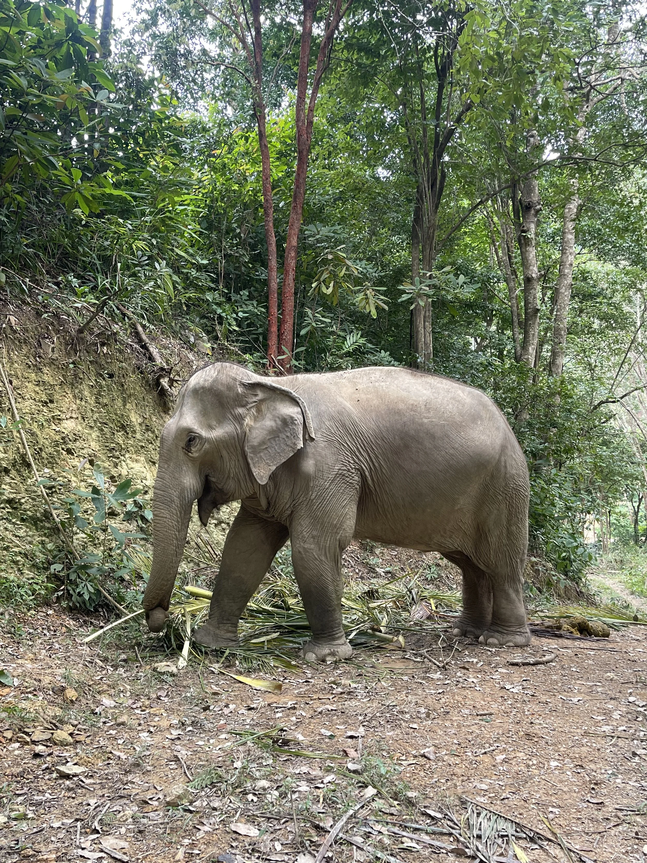 Andrew Pellham photography, part of Andrew Pellham’s travel photography collection