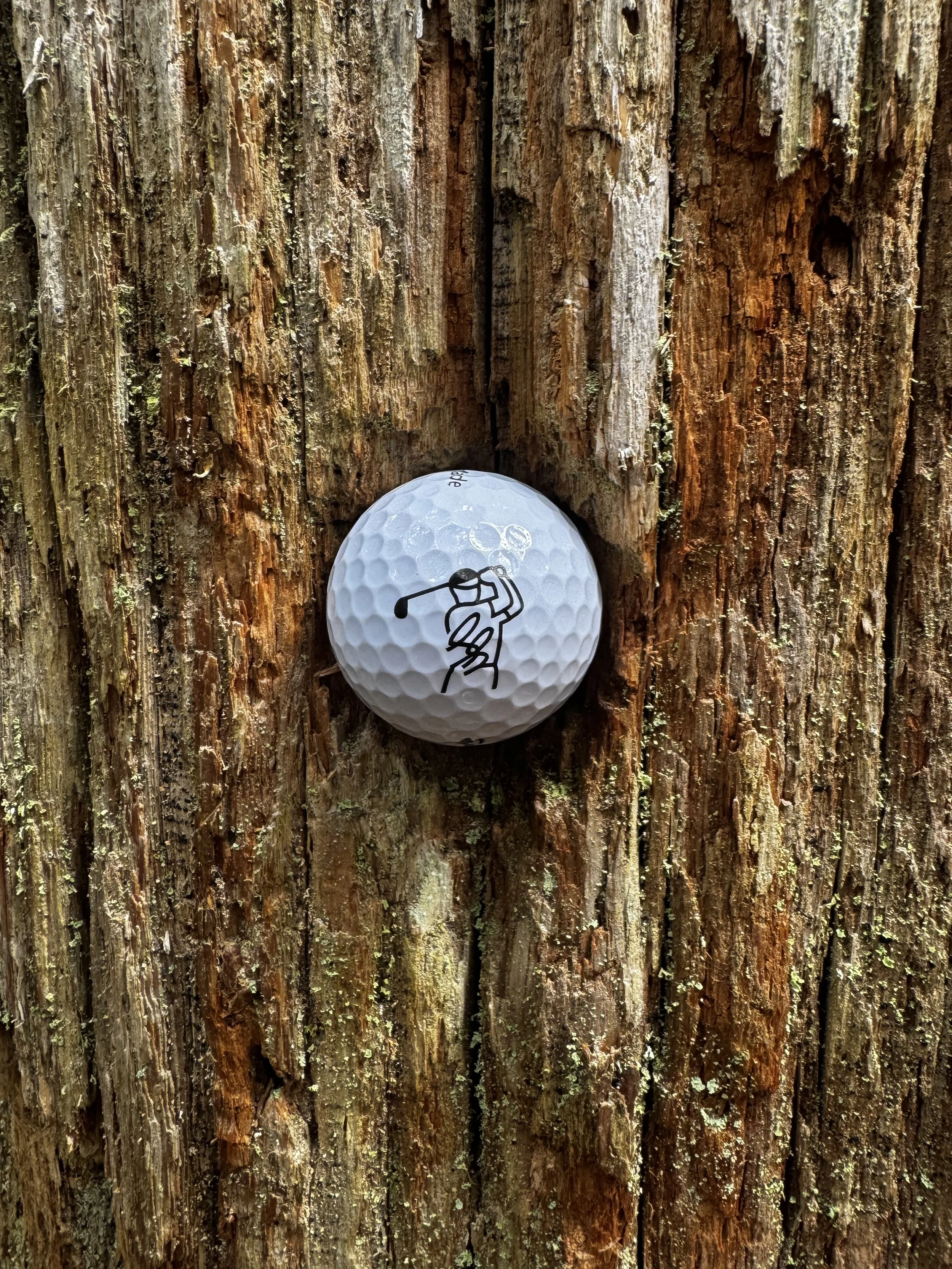 andrew-pellham-swimslacks