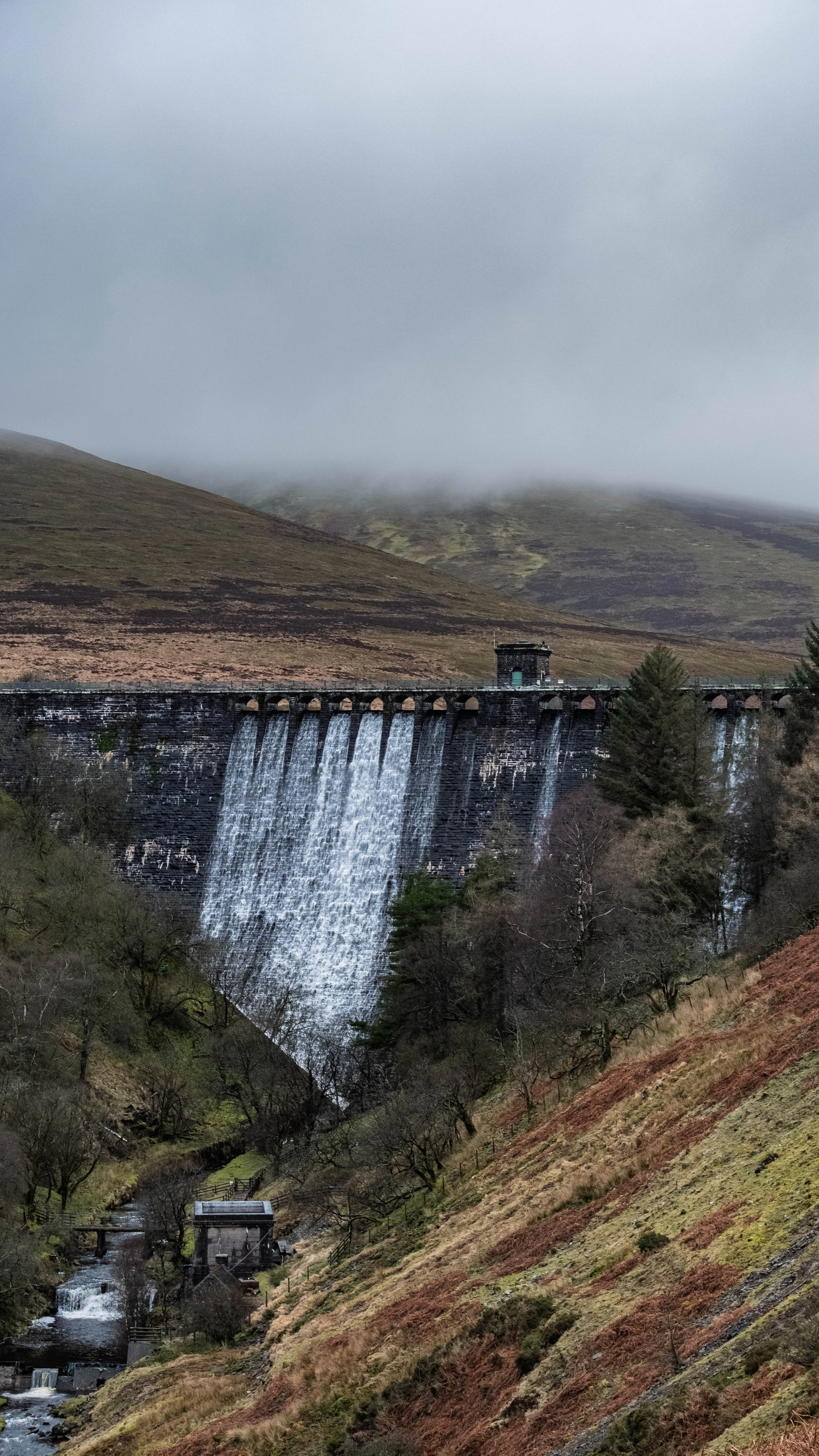 black and white-5.jpg