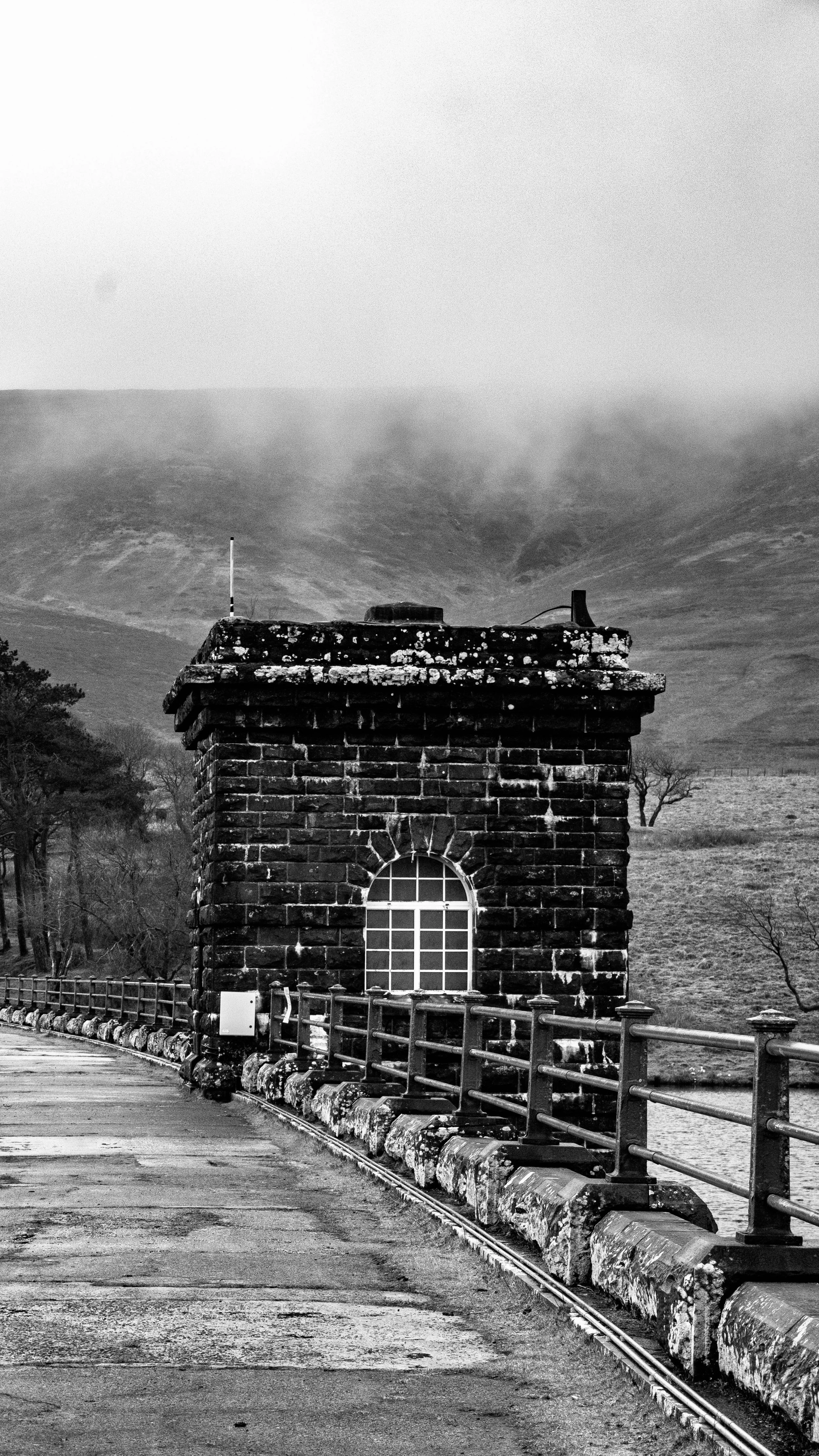 black and white-3.jpg